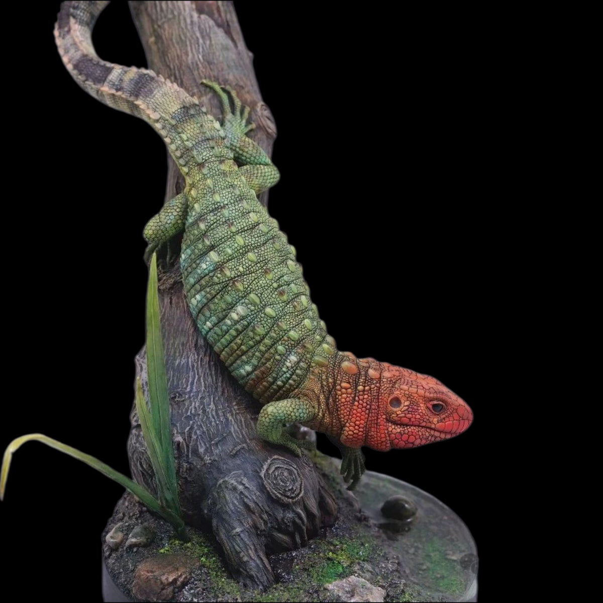 Dracaenaguianensis statue Model Kit 1:4 Scale