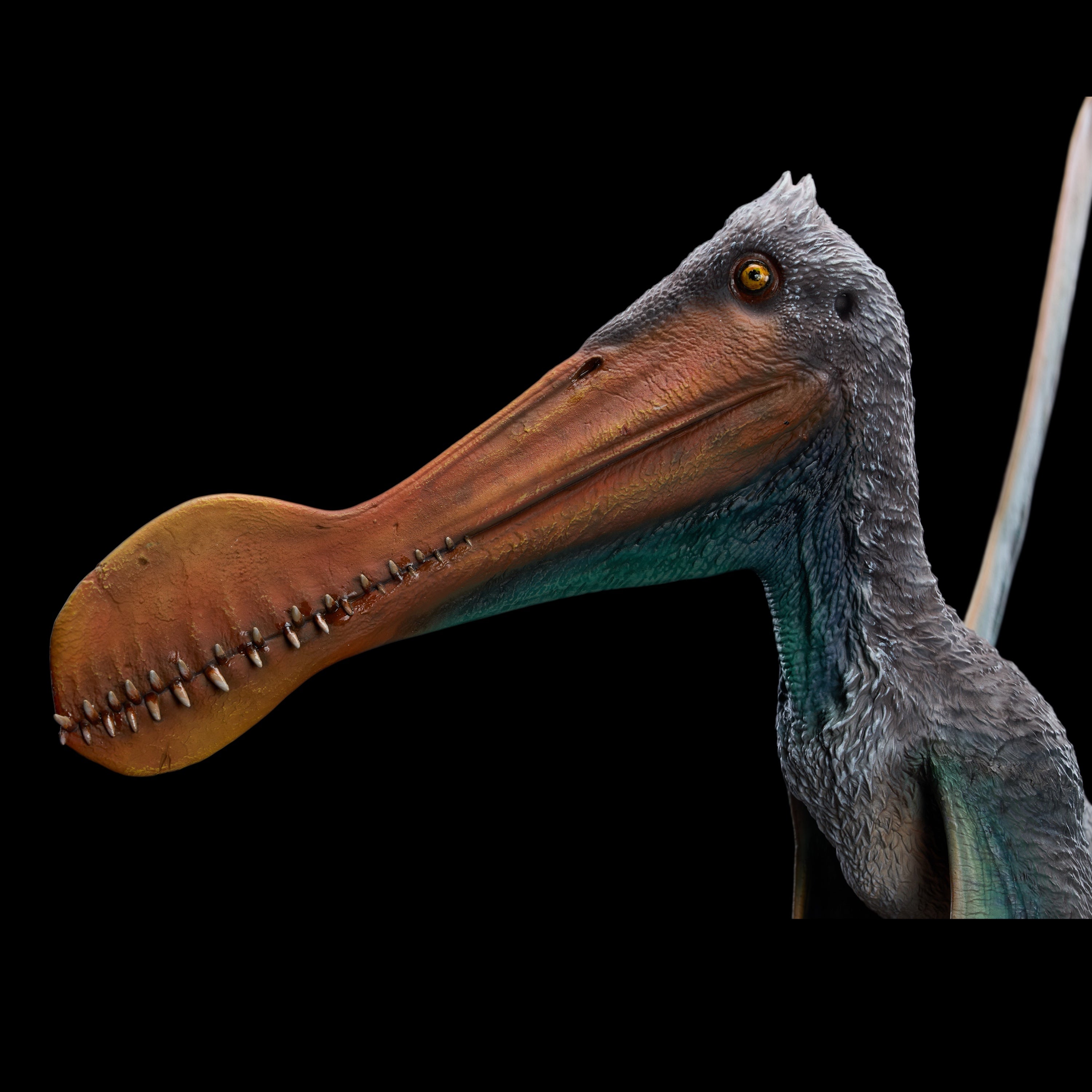 ORNITHOCHEIRUS STATUE MODEL KIT 1:6 SCALE Musee Studio