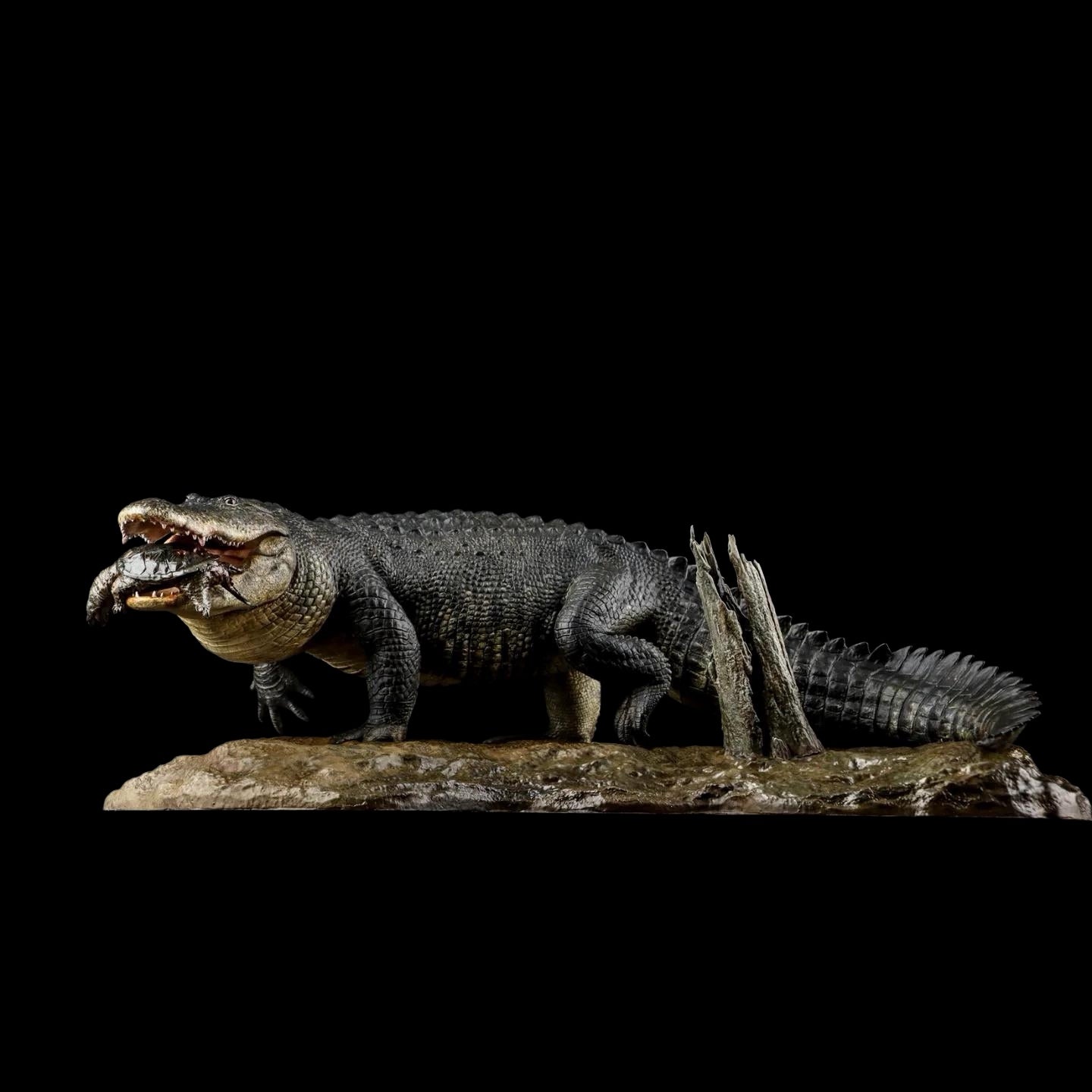 AMERICAN ALLIGATOR statue Model Kit 1:10 1:15 1:18 1:35 Scale The Crocs Man Studio