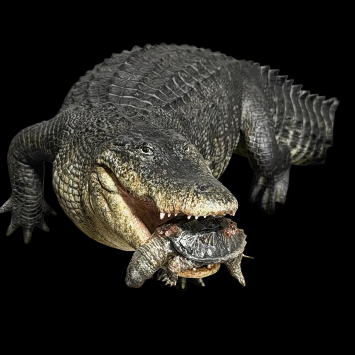 AMERICAN ALLIGATOR statue Model Kit 1:10 1:15 1:18 1:35 Scale The Crocs Man Studio