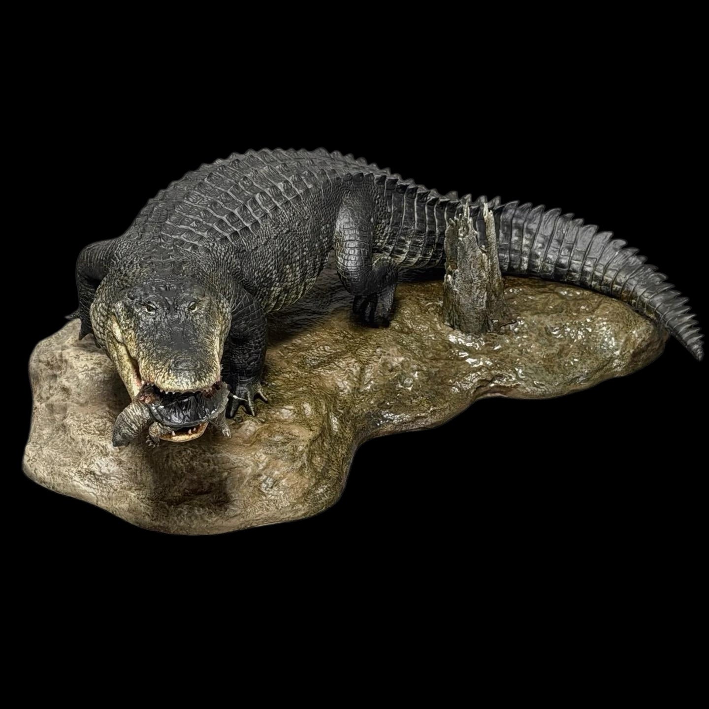AMERICAN ALLIGATOR statue Model Kit 1:10 1:15 1:18 1:35 Scale The Crocs Man Studio