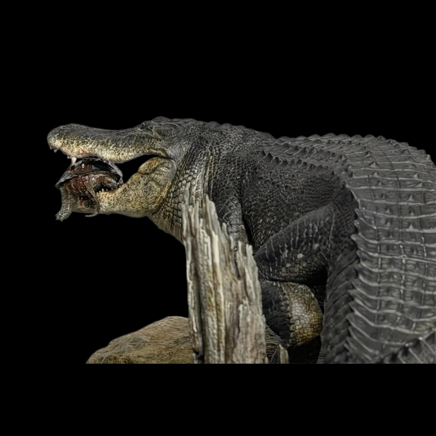 AMERICAN ALLIGATOR statue Model Kit 1:10 1:15 1:18 1:35 Scale The Crocs Man Studio