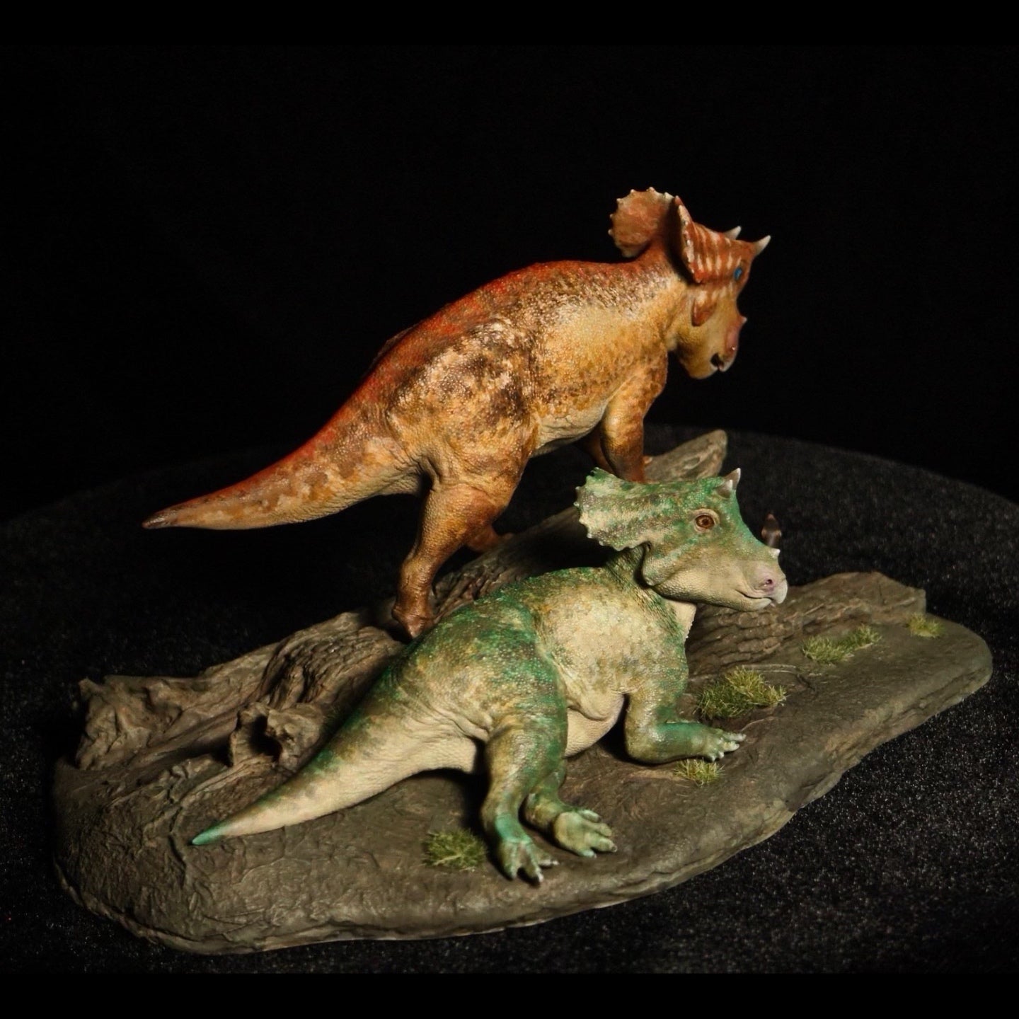 TRICERATOPS JUVENILE statue Model Kit 1:20 Scale