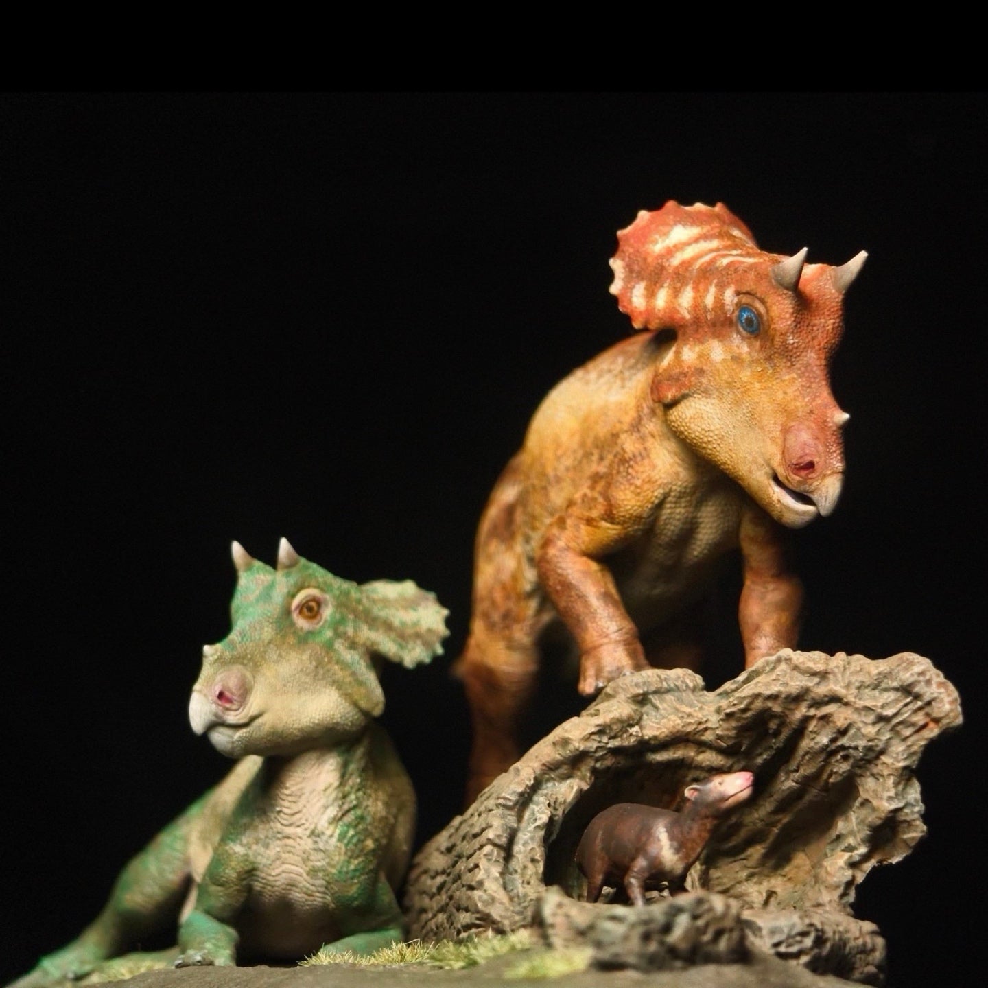 TRICERATOPS JUVENILE statue Model Kit 1:20 Scale
