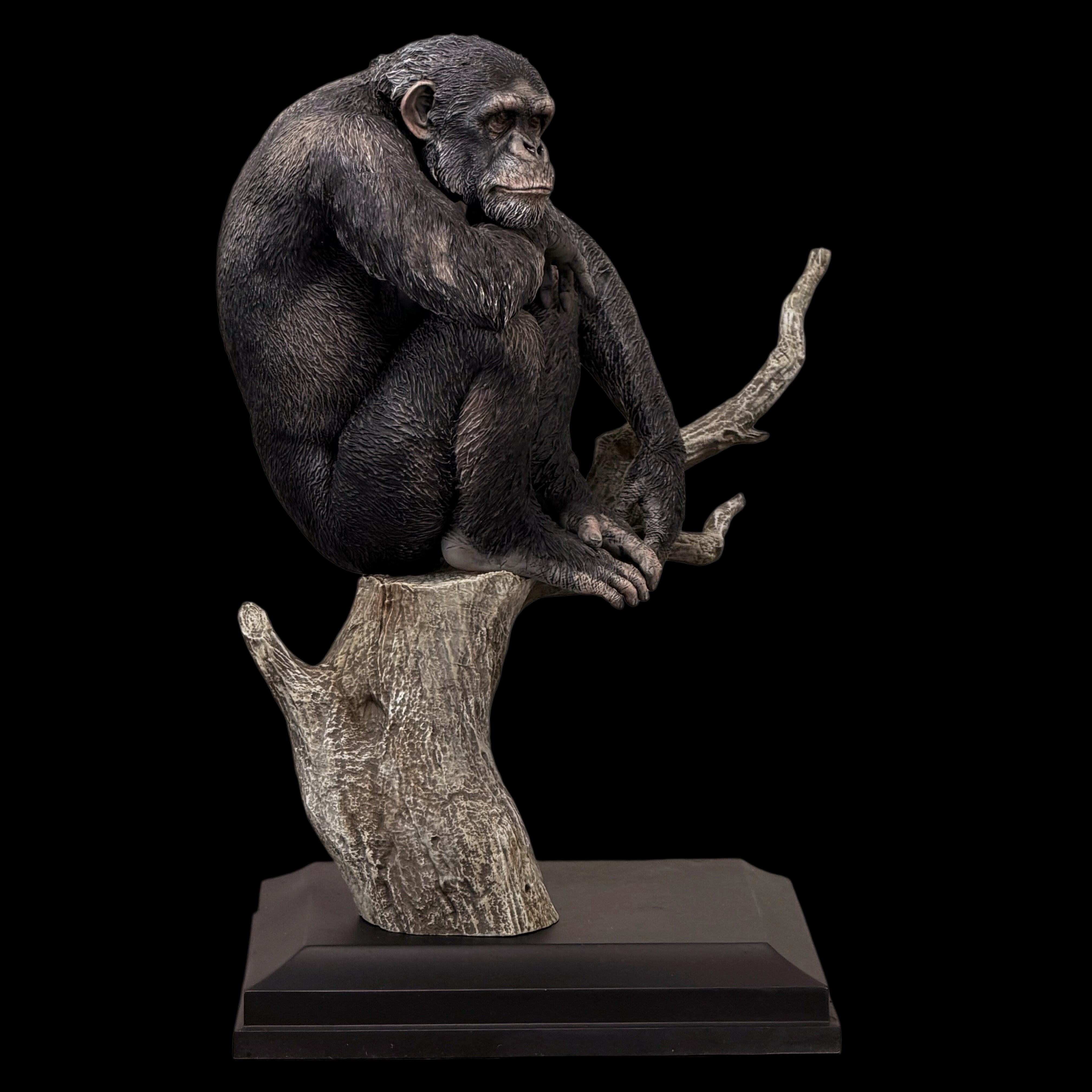 Pan troglodytes statue Model Kit 1:10 1:18 1:10 1:6 Scale APHID STUDIO