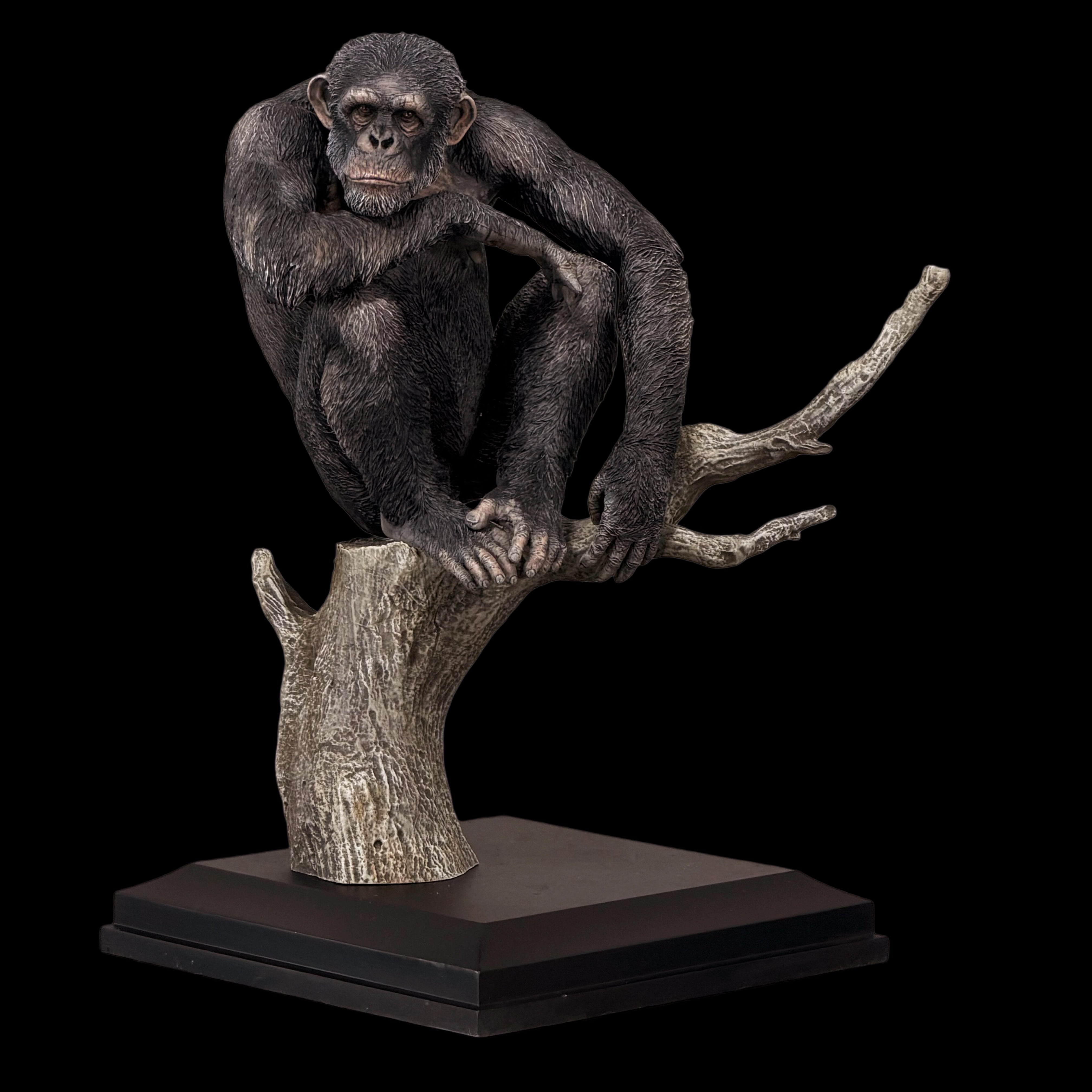 Pan troglodytes statue Model Kit 1:18 1:10 1:6 Scale APHID STUDIO