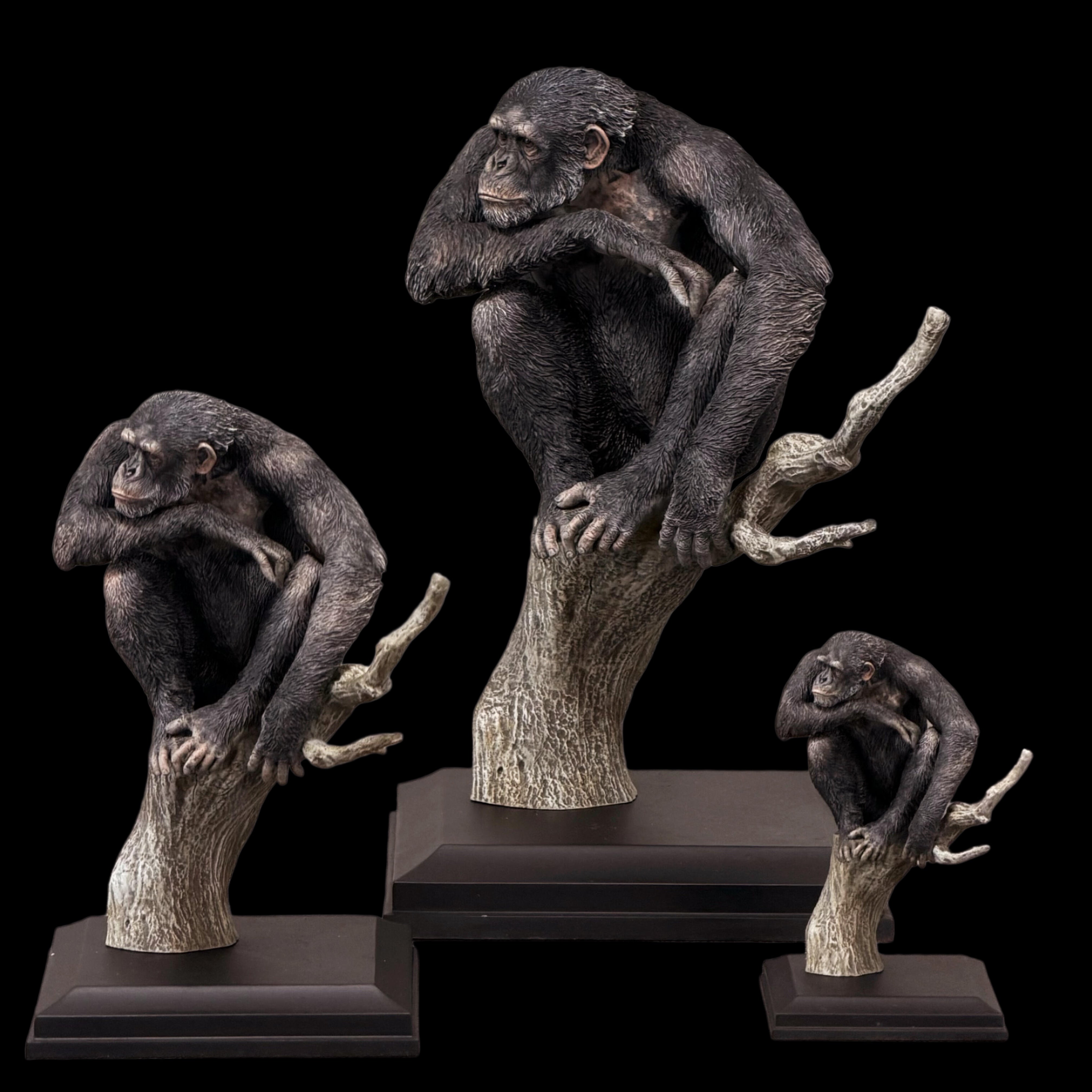 Pan troglodytes statue Model Kit 1:18 1:10 1:6 Scale APHID STUDIO