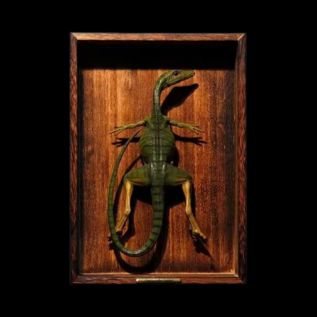 COMPSOGNATHUS PRESERVED ANATOMICAL SPECIMEN (STANDARD EDITION)