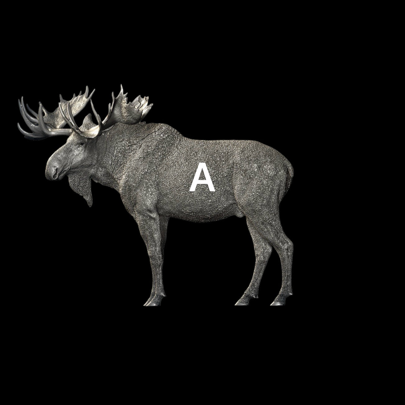 North American Moose statue Model Kit 1:35 1:18 1:15 1:10 Scale Art&Evolution Studio