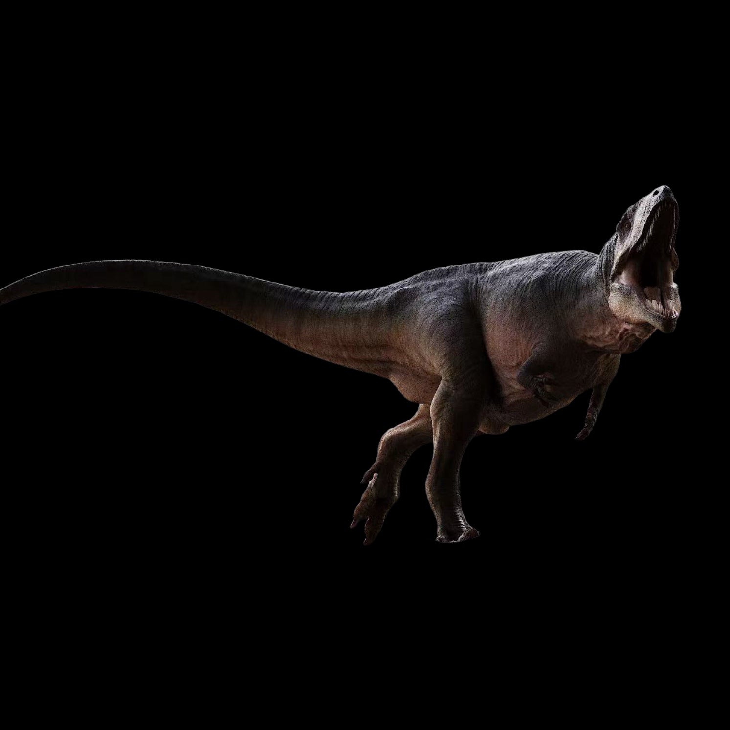 Carcharodontosaurus Model Kit 1:35 1:18 Scale