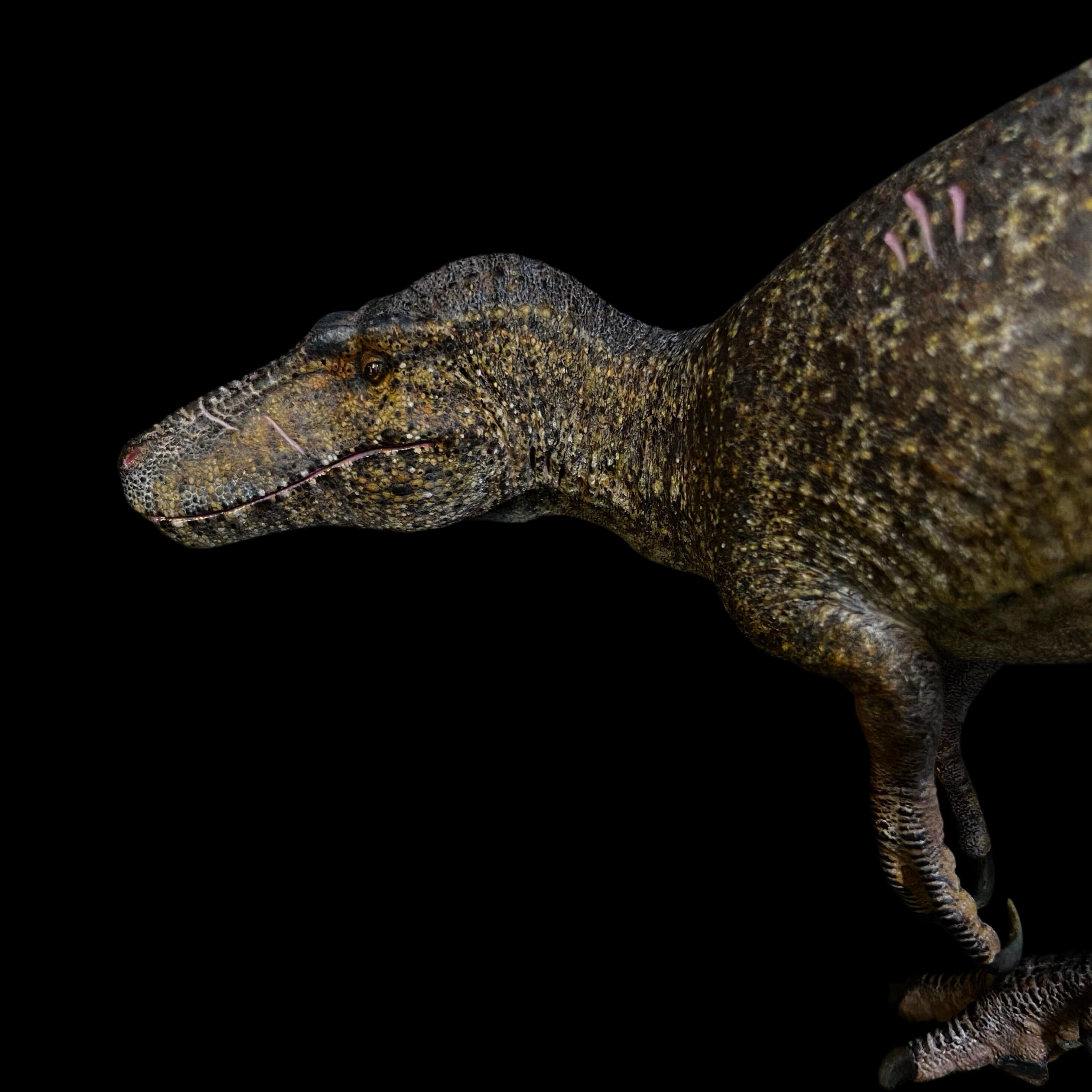 Nanotyrannus statue Model Kit 1:20 Scale MK Studio