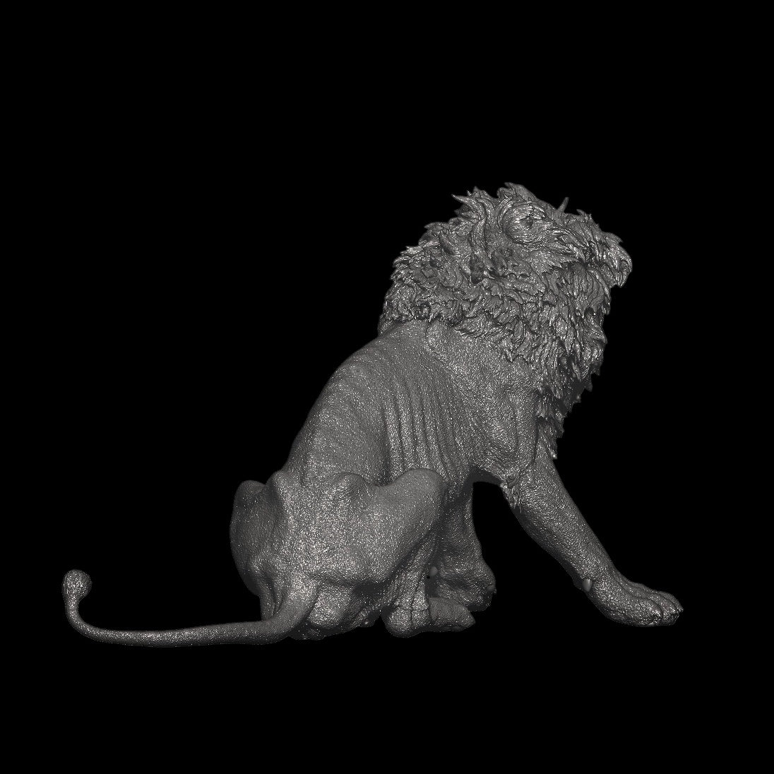 Panthera leo -Scarface Model Kit 1:5 Scale Art&Evolution Studio