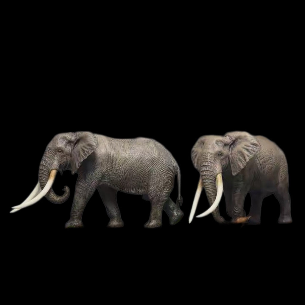 AFRICAN ELEPHANT PAINTED STATUE
1:35 Dafei studio