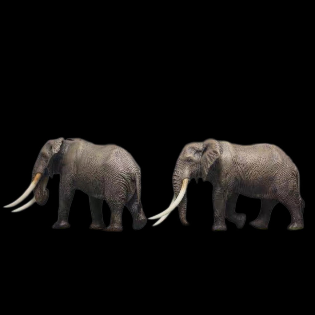 AFRICAN ELEPHANT PAINTED STATUE
1:35 Dafei studio