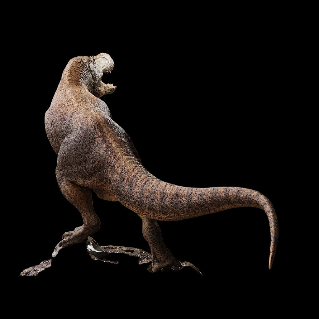 ZHUCHENGTYRANNUS MAGNUS statue Model Kit 1:35 1:18 Scale Carson.Long Studio