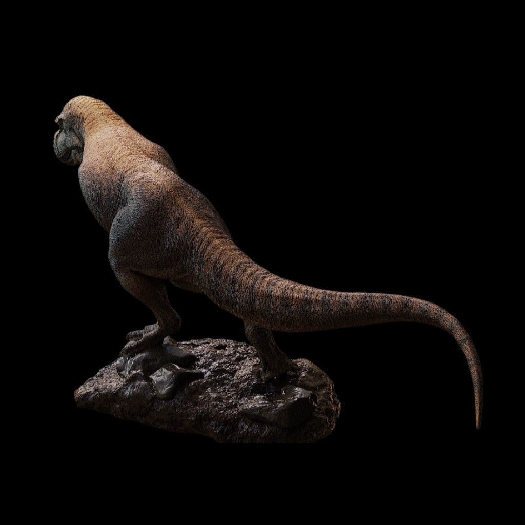 ZHUCHENGTYRANNUS MAGNUS statue Model Kit 1:35 1:18 Scale Carson.Long Studio