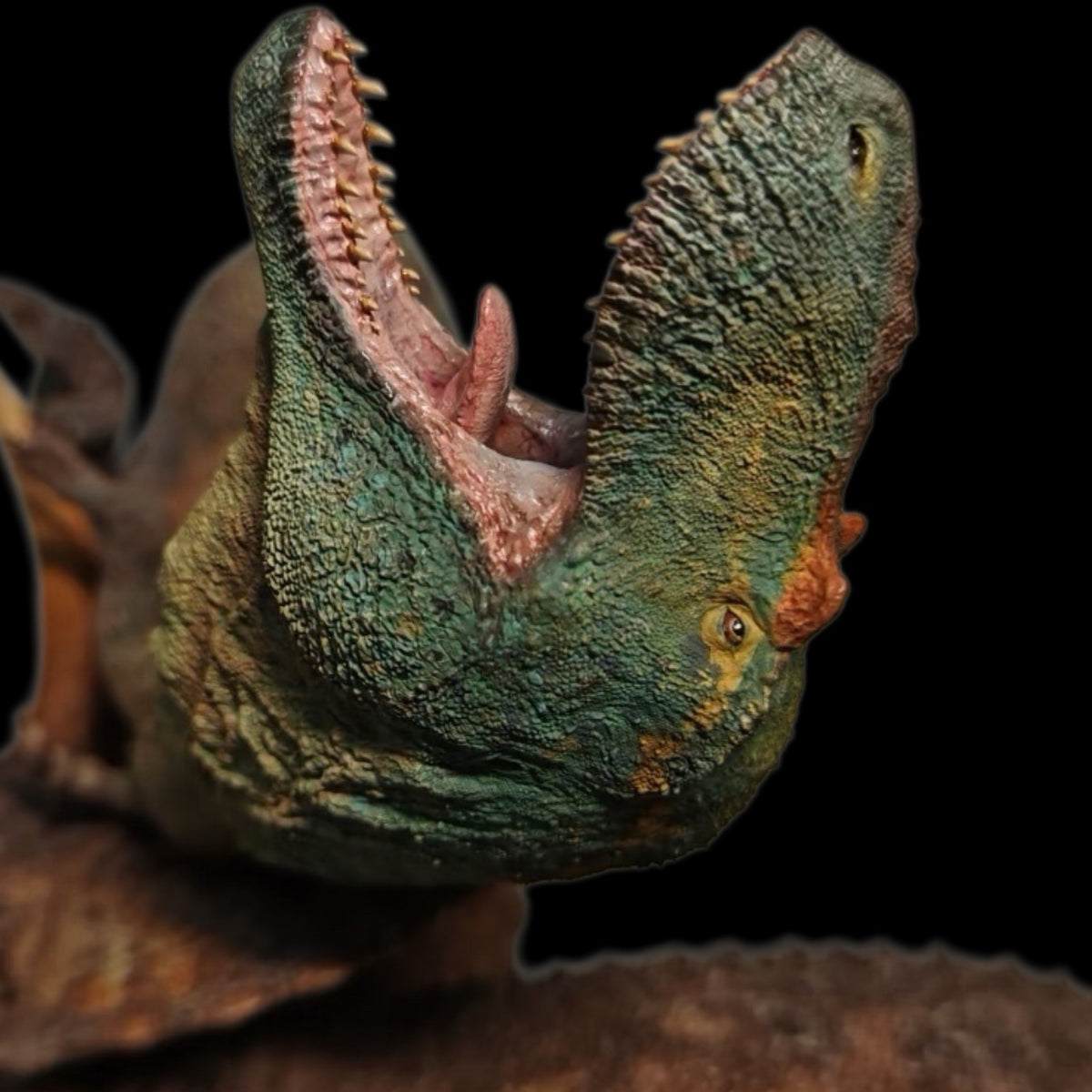 Eotriceratops vs Albertosaurus Statue Model Kit 1:18 Scale Showanna Studio