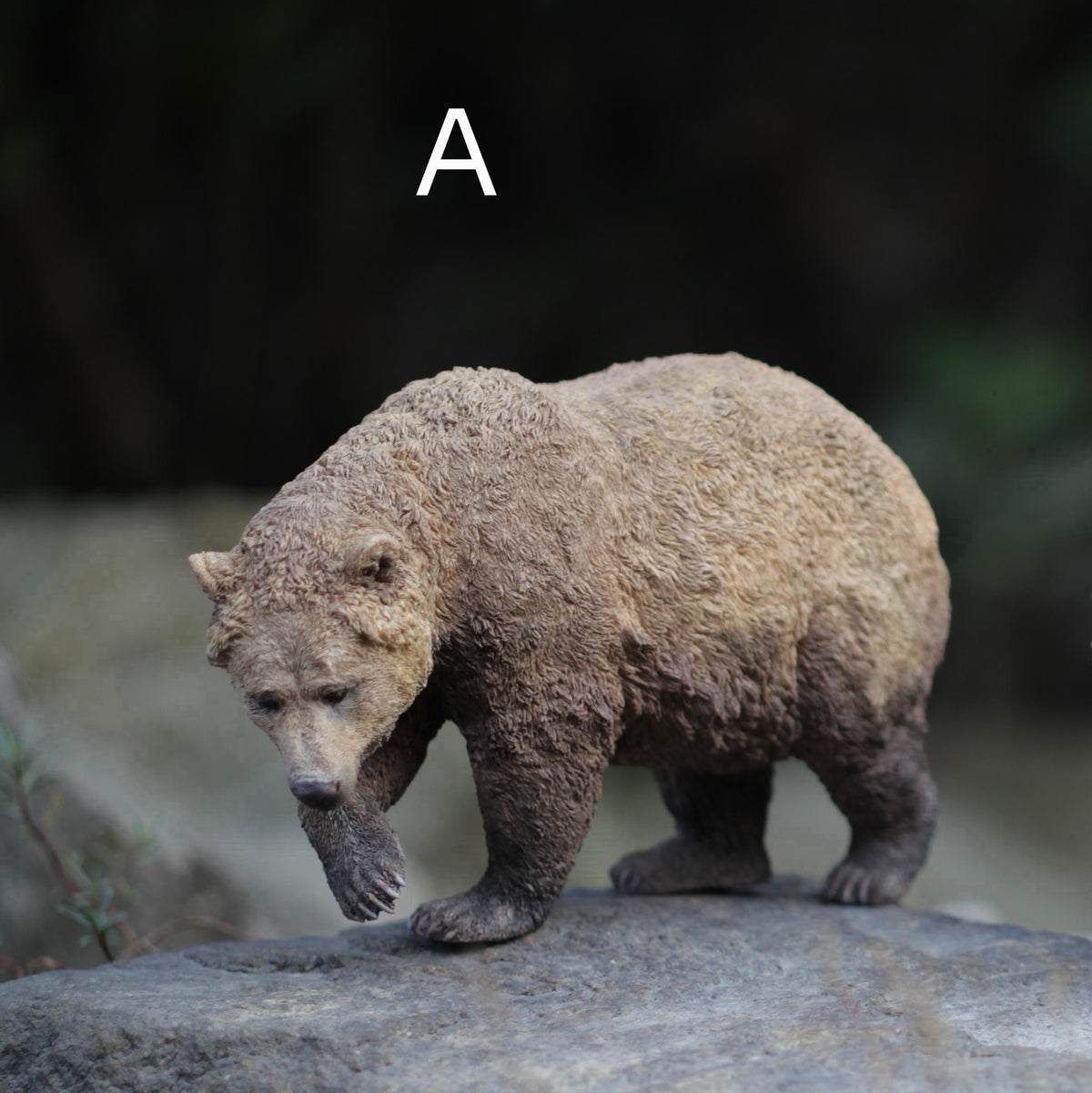 MALE NORTH AMERICAN GRIZZLY BEAR Statue Model Kit 1:10 Scale Jiantao Studio