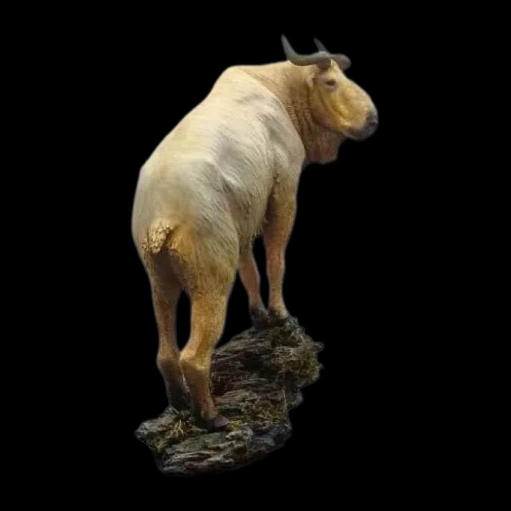 Budorcas taxicolor bedfordi PAINTED STATUE