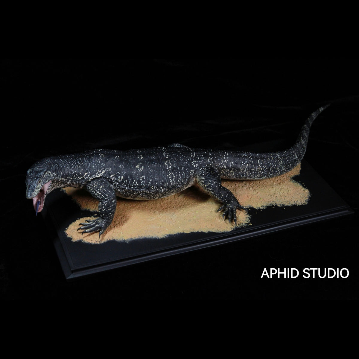 Varanus salvator Model Kit 1:6 1:10 1:15-1:18 1:35 Scale APHID STUDIO Studio