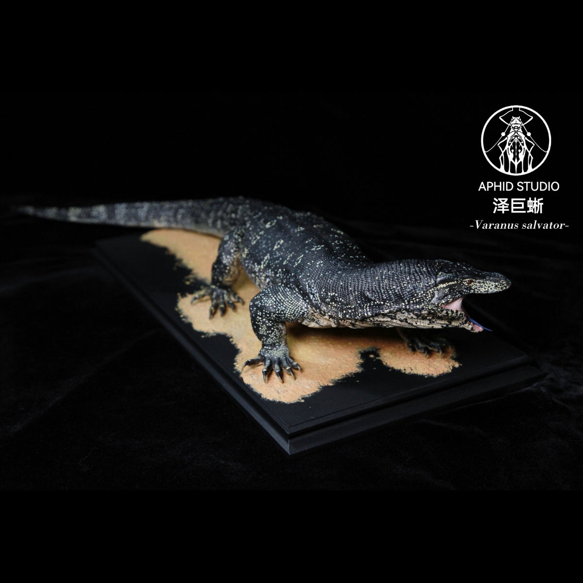 Varanus salvator Model Kit 1:6 1:10 1:15-1:18 1:35 Scale APHID STUDIO Studio
