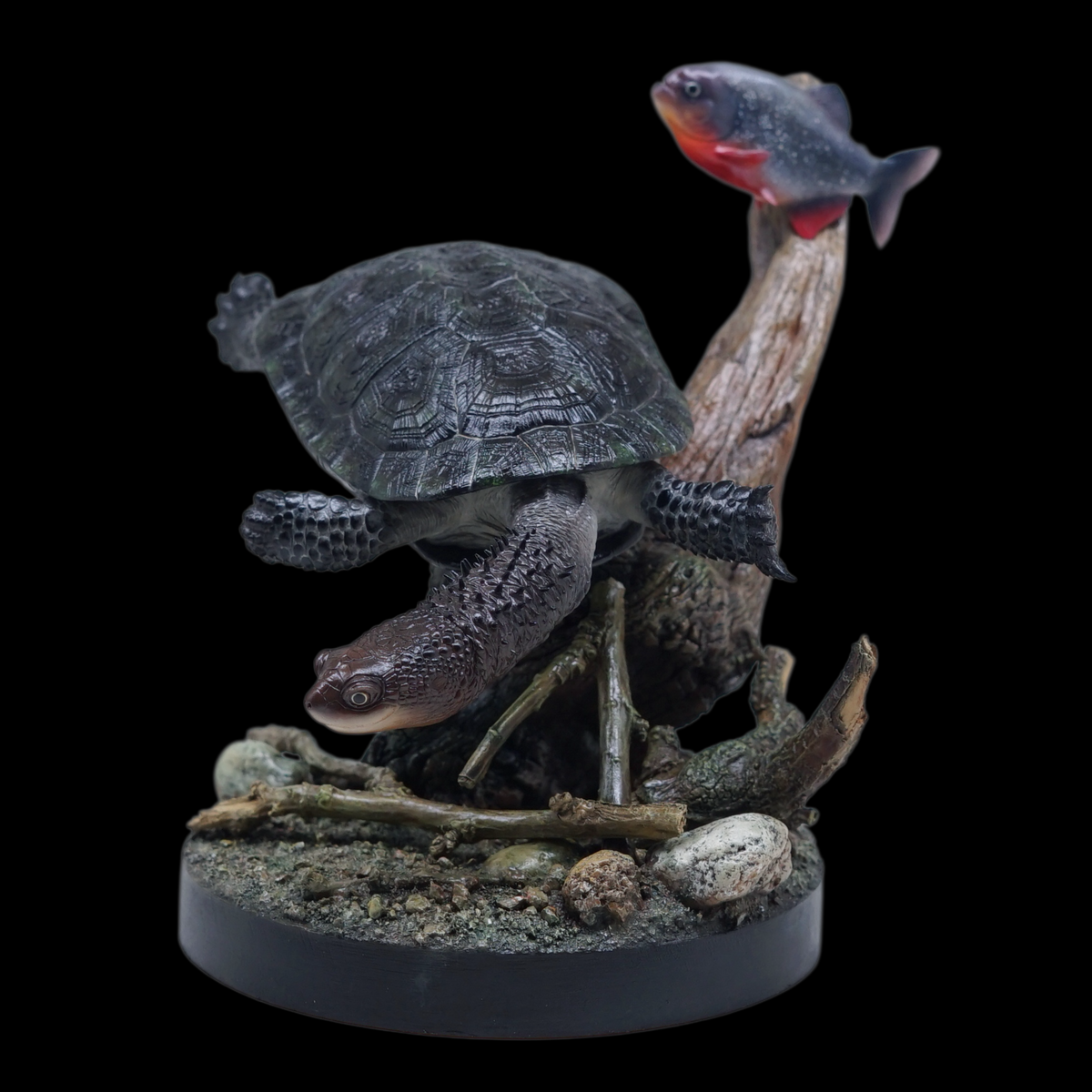 BLACK-BELLIED THORNY-NECKED TURTLE 1:1 LIFE-SIZE HERPETOLOGICAL STATUE (GREY RESIN KIT / PAINTED EDITION)