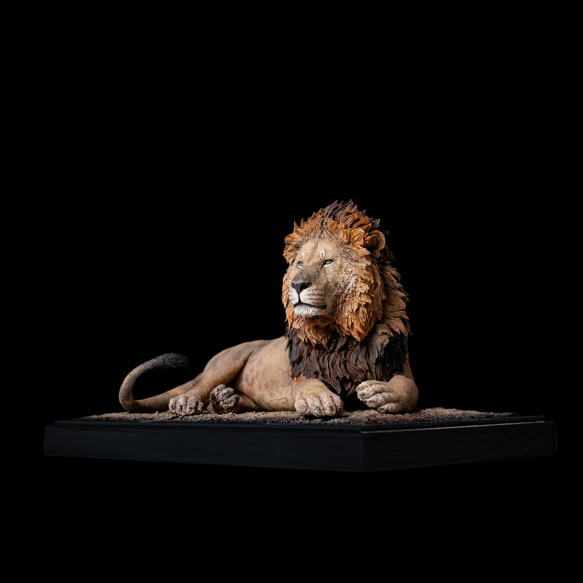 AFRICAN LION "OLOSHIPA" 1:10 / 1:6 DIORAMA ART STATUE (GREY RESIN KIT / PAINTED EDITION)
