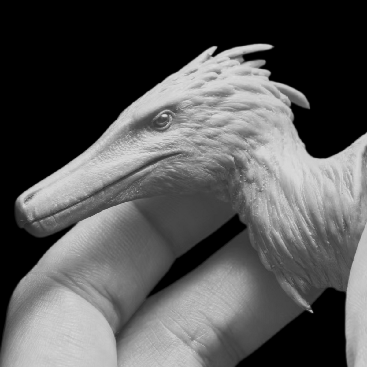 AUSTRORAPTOR 1:20 PALEOART STATUE (RESIN KIT / PAINTED EDITION) MK Studio