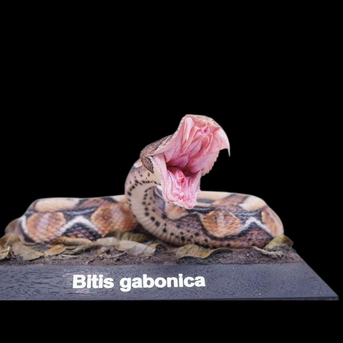 BITIS GABONICA 1:3 ART STATUE (RESIN KIT / PAINTED EDITION) — PRESENTED BY BALI STUDIO