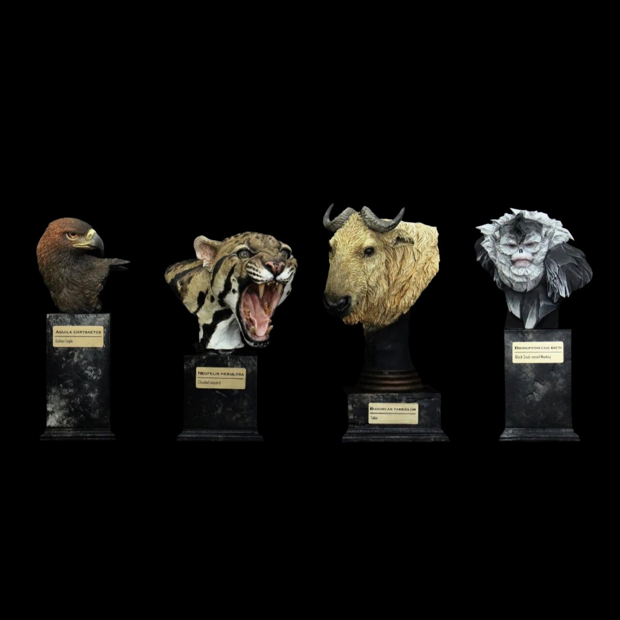 GOLDEN EAGLE · YUNNAN SNUB-NOSED MONKEY · TAKIN · CLOUDED LEOPARD WILD CHINA: ENDANGERED SPECIES ART STATUE PROJECT