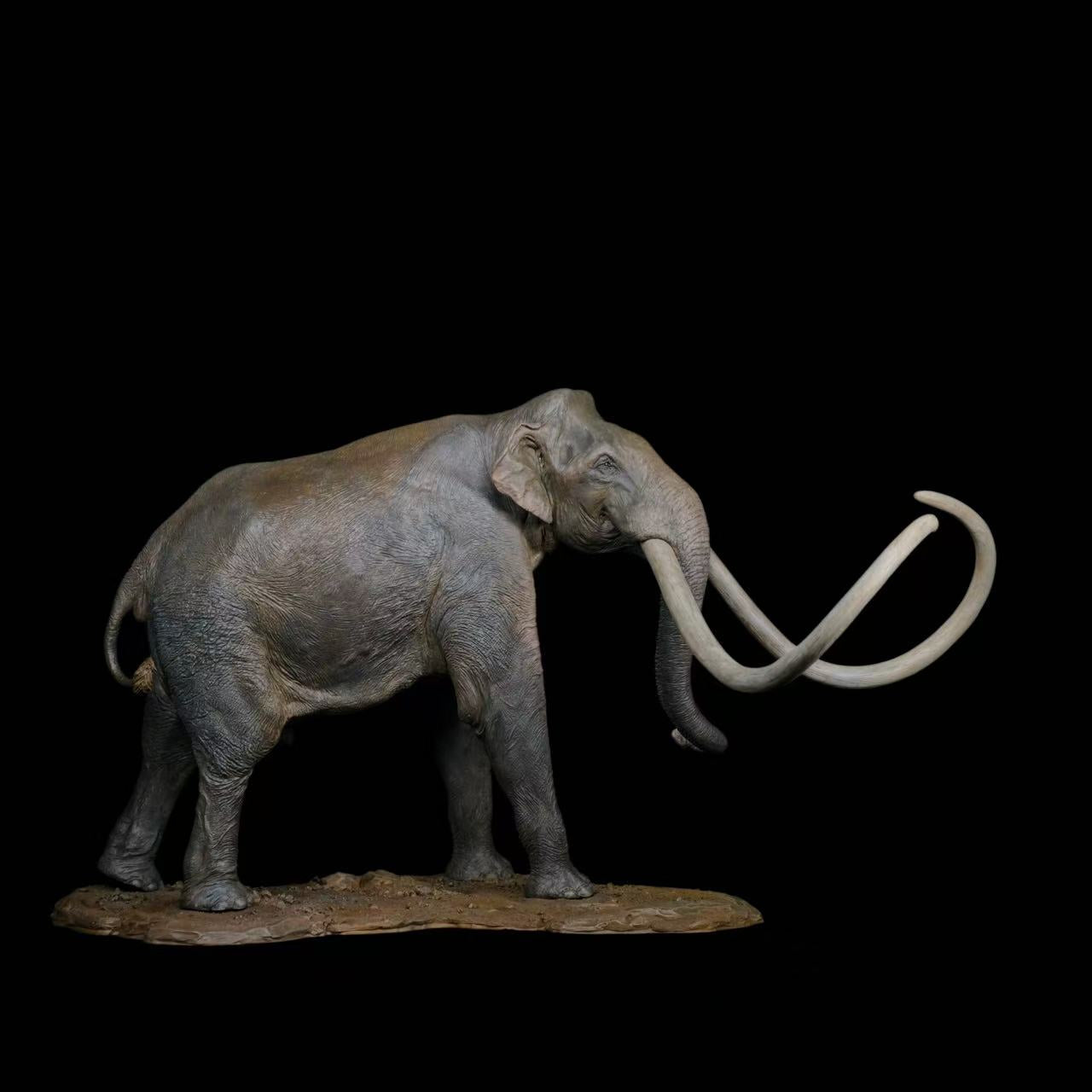 Columbian Mammoth statue Model Kit 1:18 Scale Dinosoul Studio