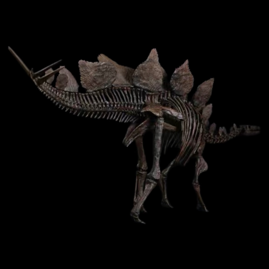 STEGOSAURUS SKELETON 1:10 MUSEUM-GRADE FOSSIL SKELETON PAINTED EDITION