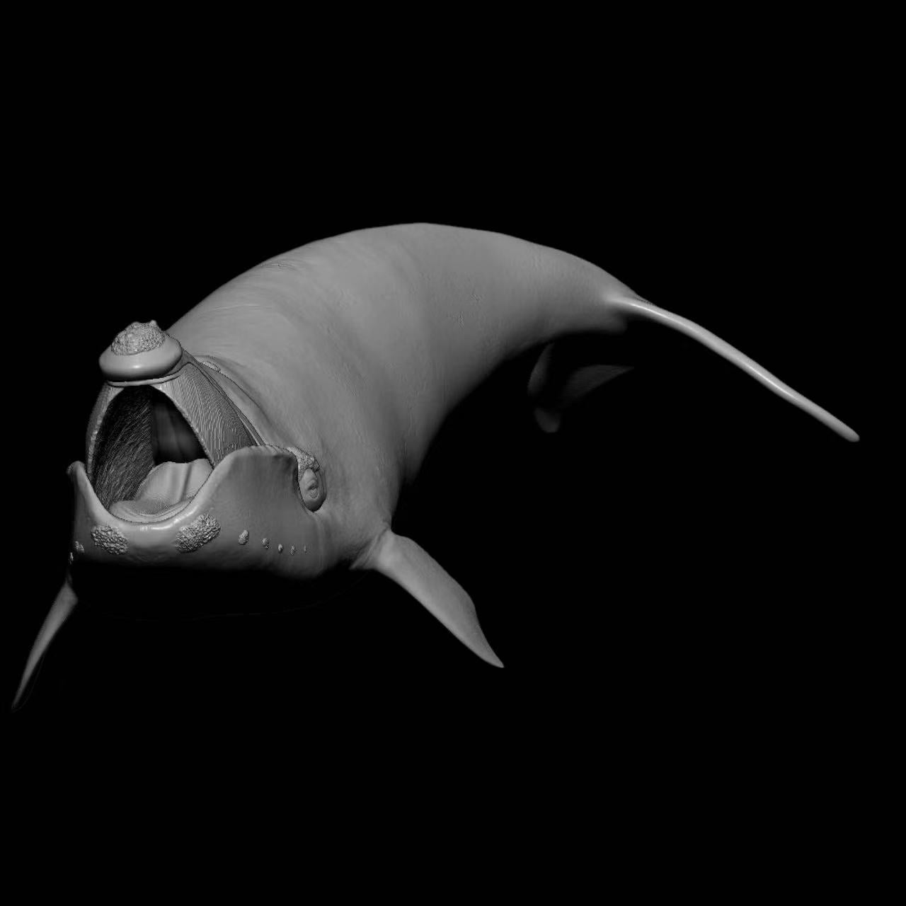 NORTH PACIFIC RIGHT WHALE (Eubalaena japonica) Statue Model Kit 1:35 Scale Sumeru Studio