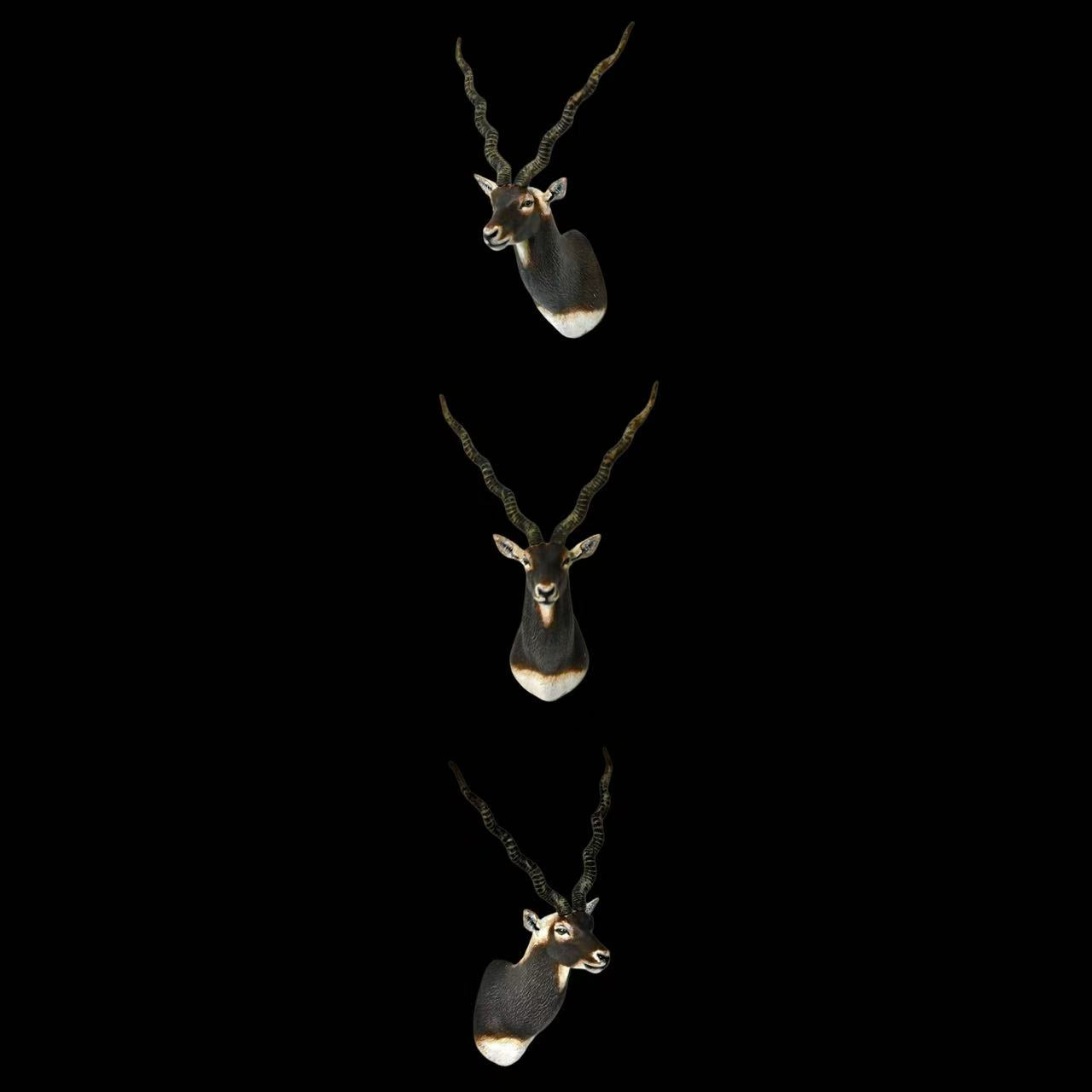 ASIAN WILDLIFE BUST SERIES (SET OF 5) Gaur, Wild Water Buffalo (M/F), Blackbuck & Chital statue Model Kit 1:10 Scale Long-Legged Rhino Studio