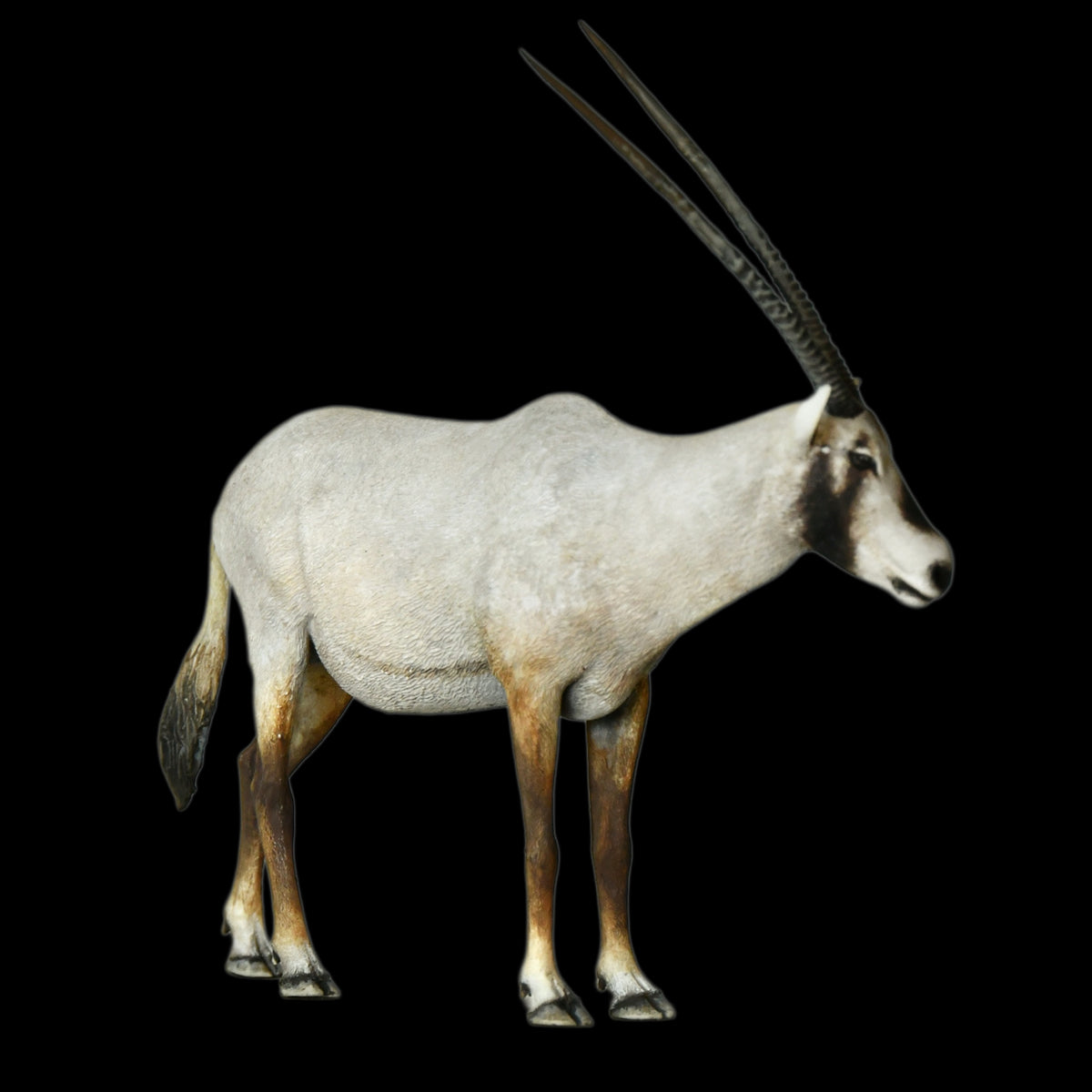 ARABIAN ORYX MUSEUM-GRADE STATUE (1:35 / 1:15 / 1:10 SCALES AVAILABLE | GREY RESIN KIT / PAINTED EDITION)