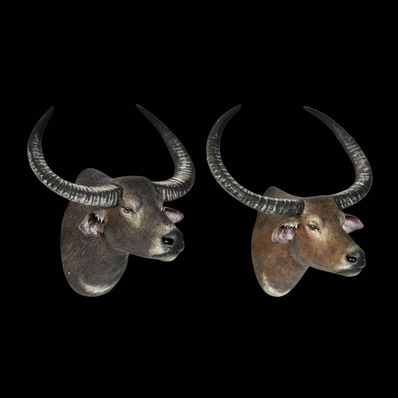 ASIAN WILDLIFE BUST SERIES (SET OF 5) Gaur, Wild Water Buffalo (M/F), Blackbuck & Chital statue Model Kit 1:10 Scale Long-Legged Rhino Studio