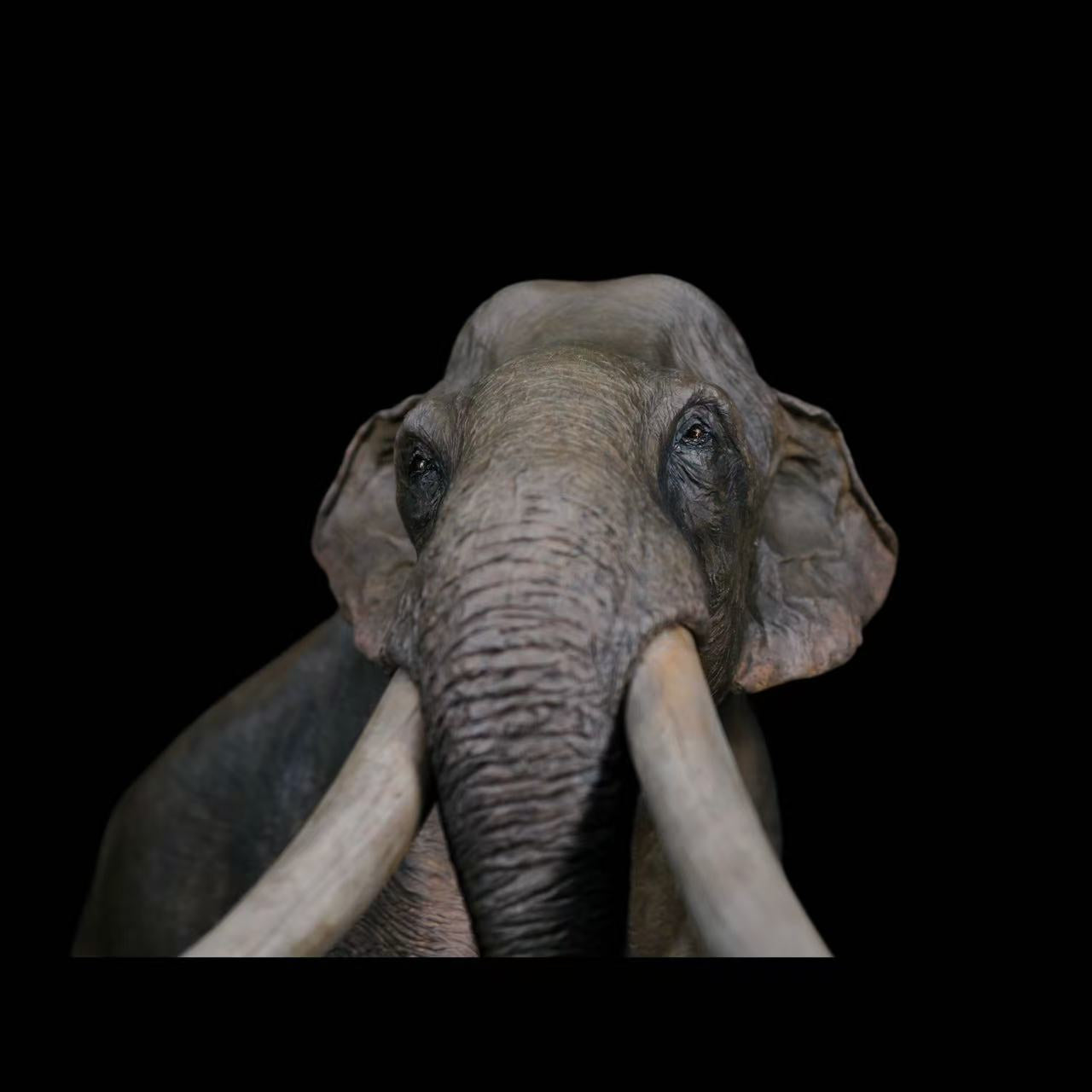 Columbian Mammoth statue Model Kit 1:18 Scale Dinosoul Studio