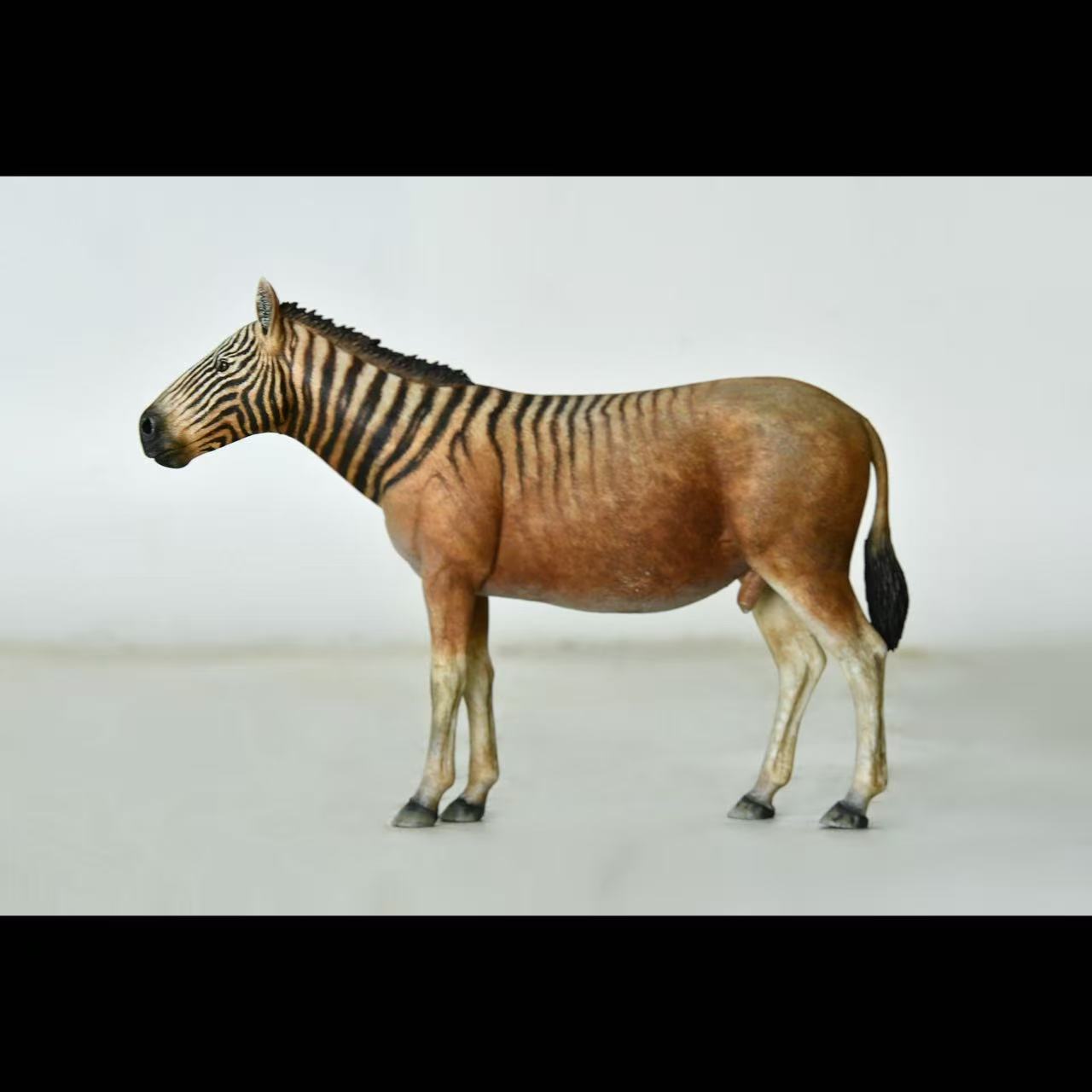 Quagga statue Model Kit 1:35 1:15 1:10 Scale Tall Rhino Studio