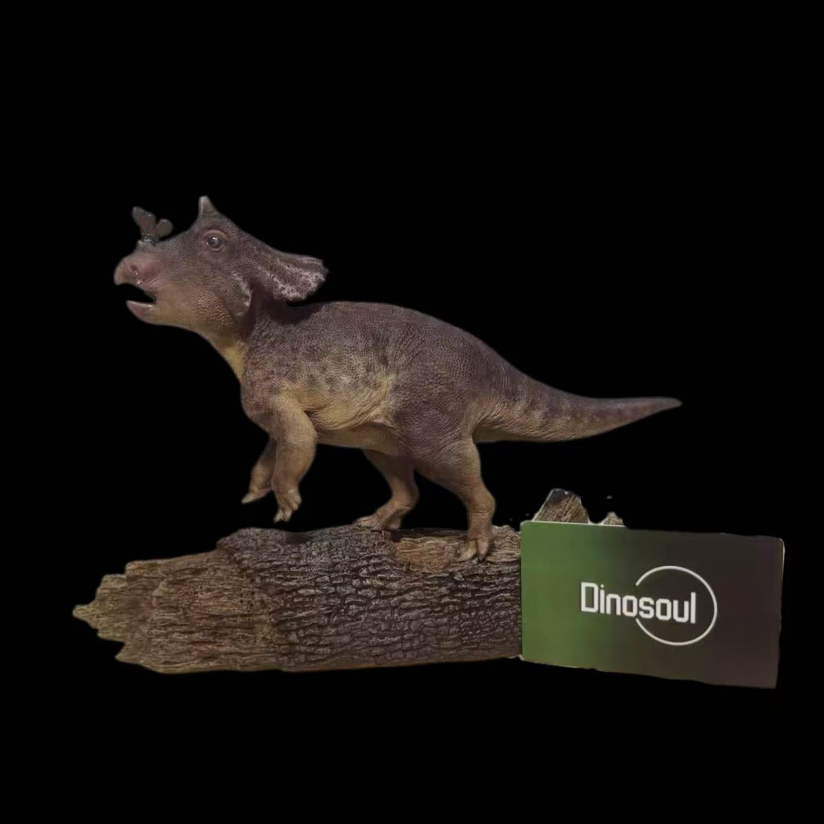 Juvenile Triceratops Scene Statue Model Kit 1:10 ScaleDinosoul Studio