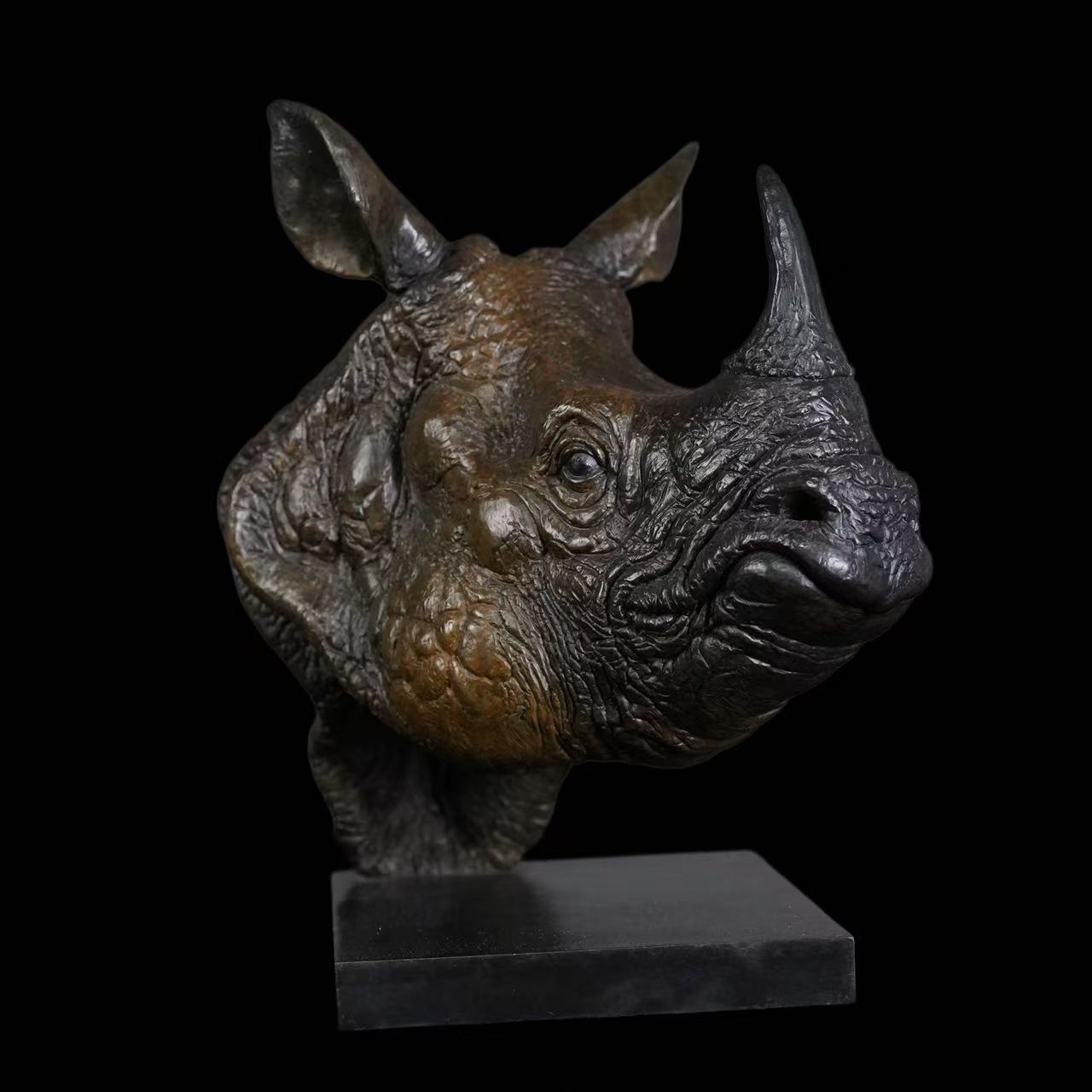 Indian Rhinoceros Head Bronze Statue Memory Museum