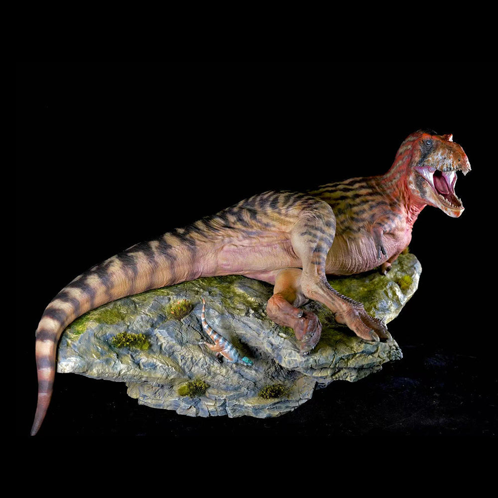 AOKHAN STUDIO ZHUCHENG TYRANNUS