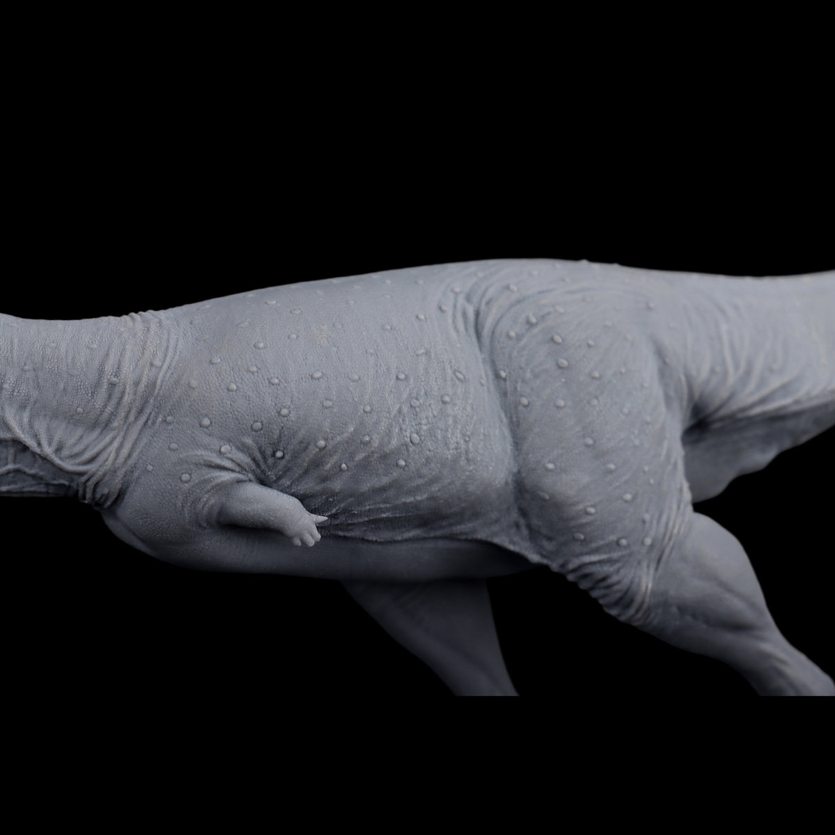 Abelisaurus comahuensis Model Kit 1:35 Scale AN studio
