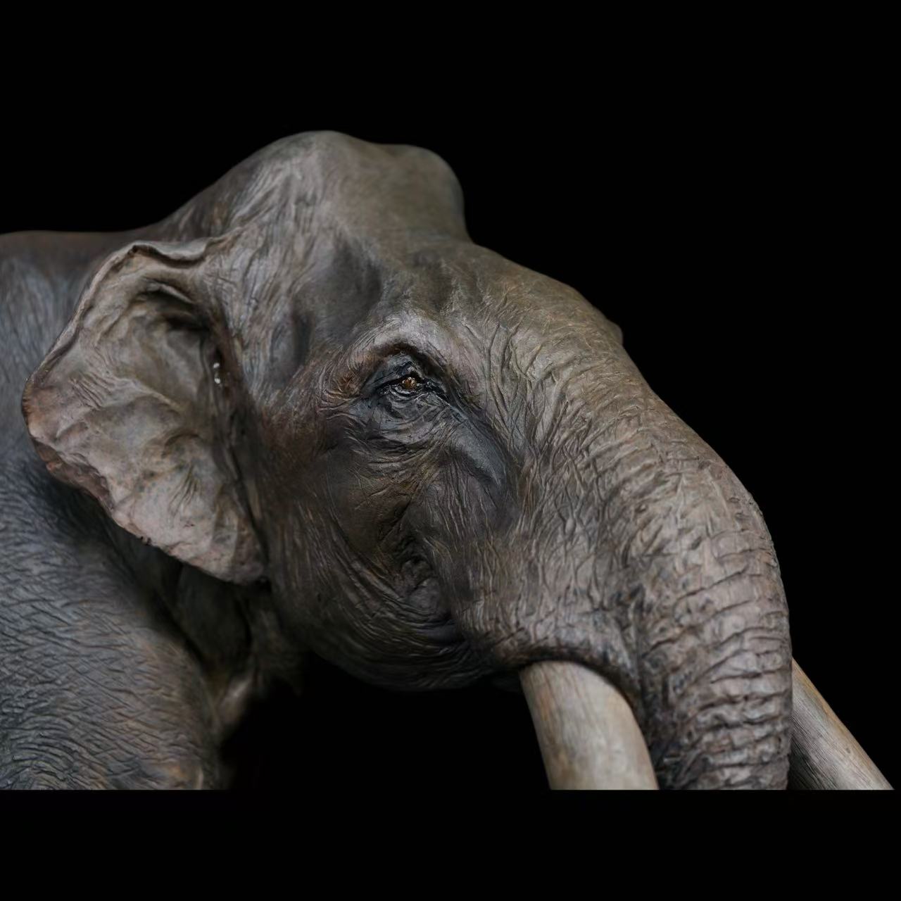 Columbian Mammoth statue Model Kit 1:18 Scale Dinosoul Studio