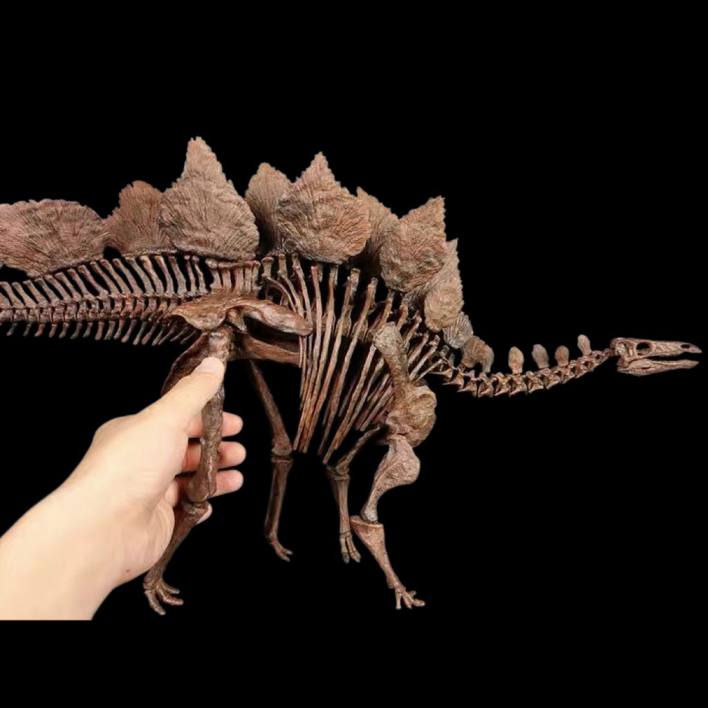 STEGOSAURUS SKELETON 1:10 MUSEUM-GRADE FOSSIL SKELETON PAINTED EDITION