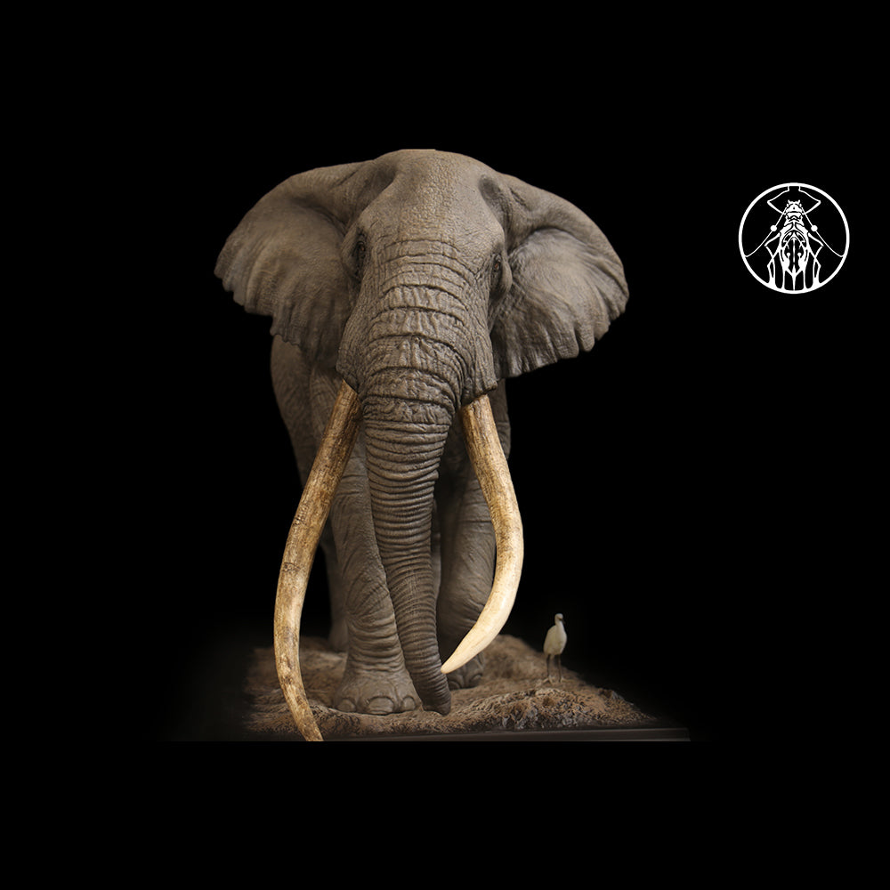 Loxodonta africana Tim 1/10 1/15 1/18 1/35  APHID STUDIO