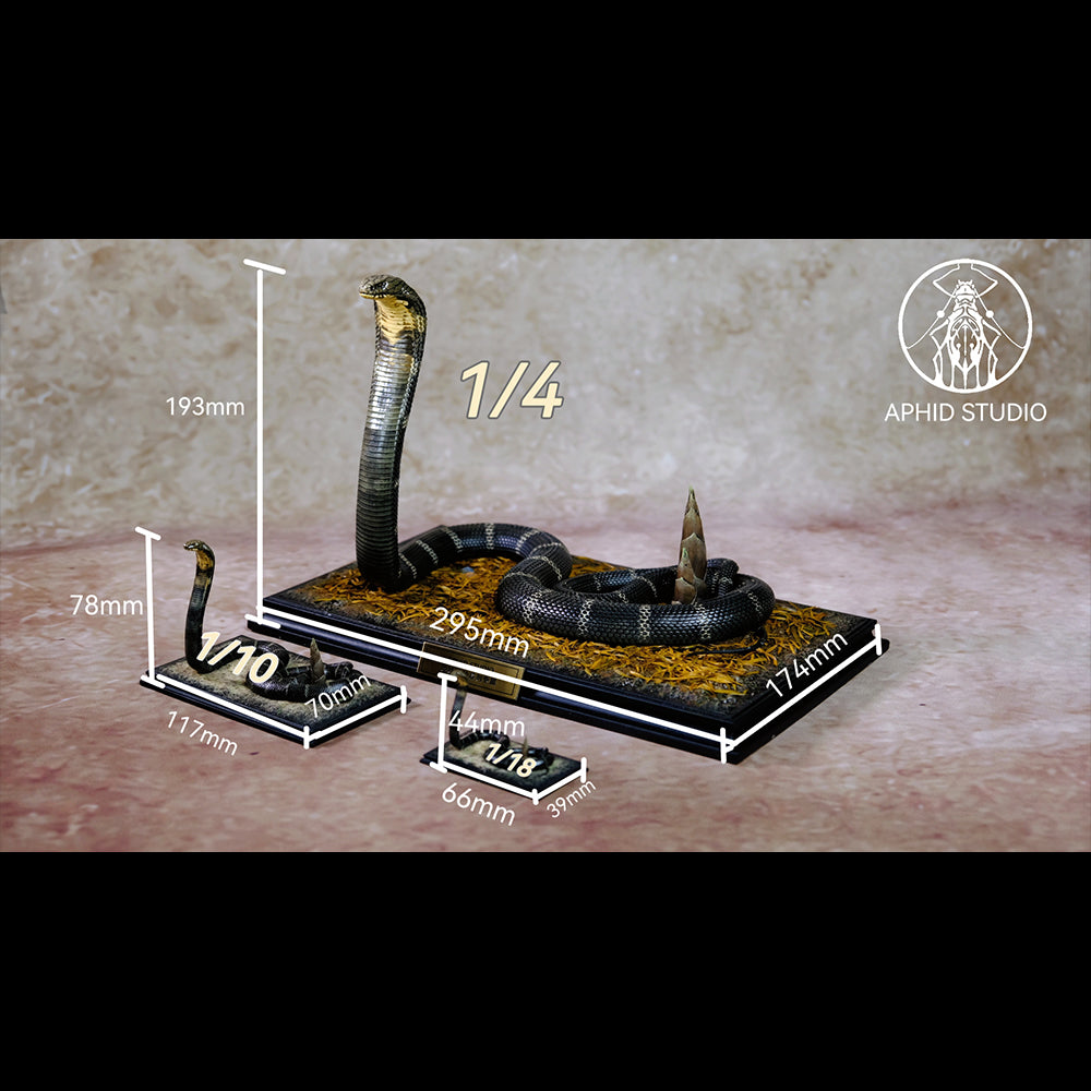 Ophiophagus hannah 1/4 1/10 1/18 APHID STUDIO