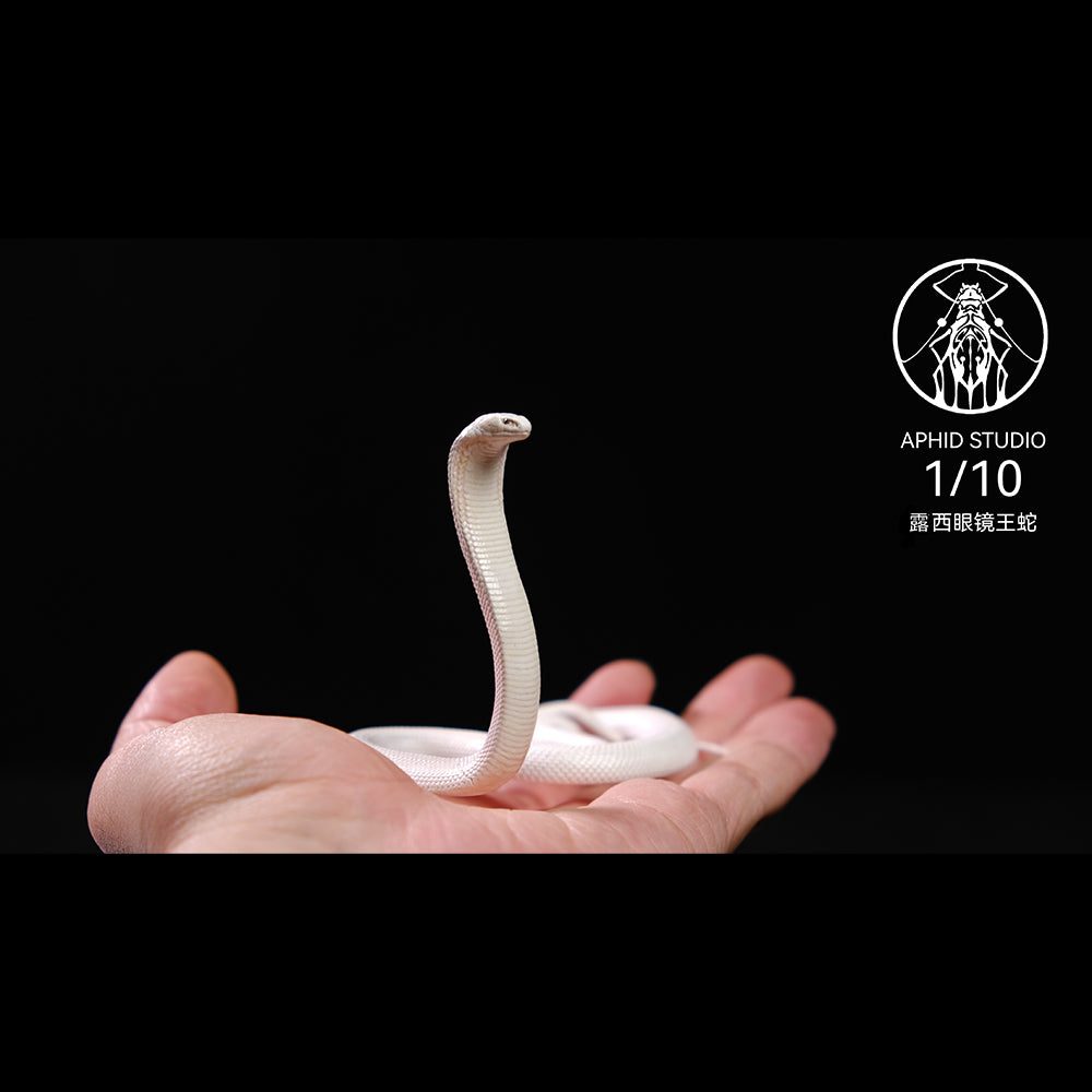 Ophiophagus hannah 1/4 1/10 1/18 APHID STUDIO