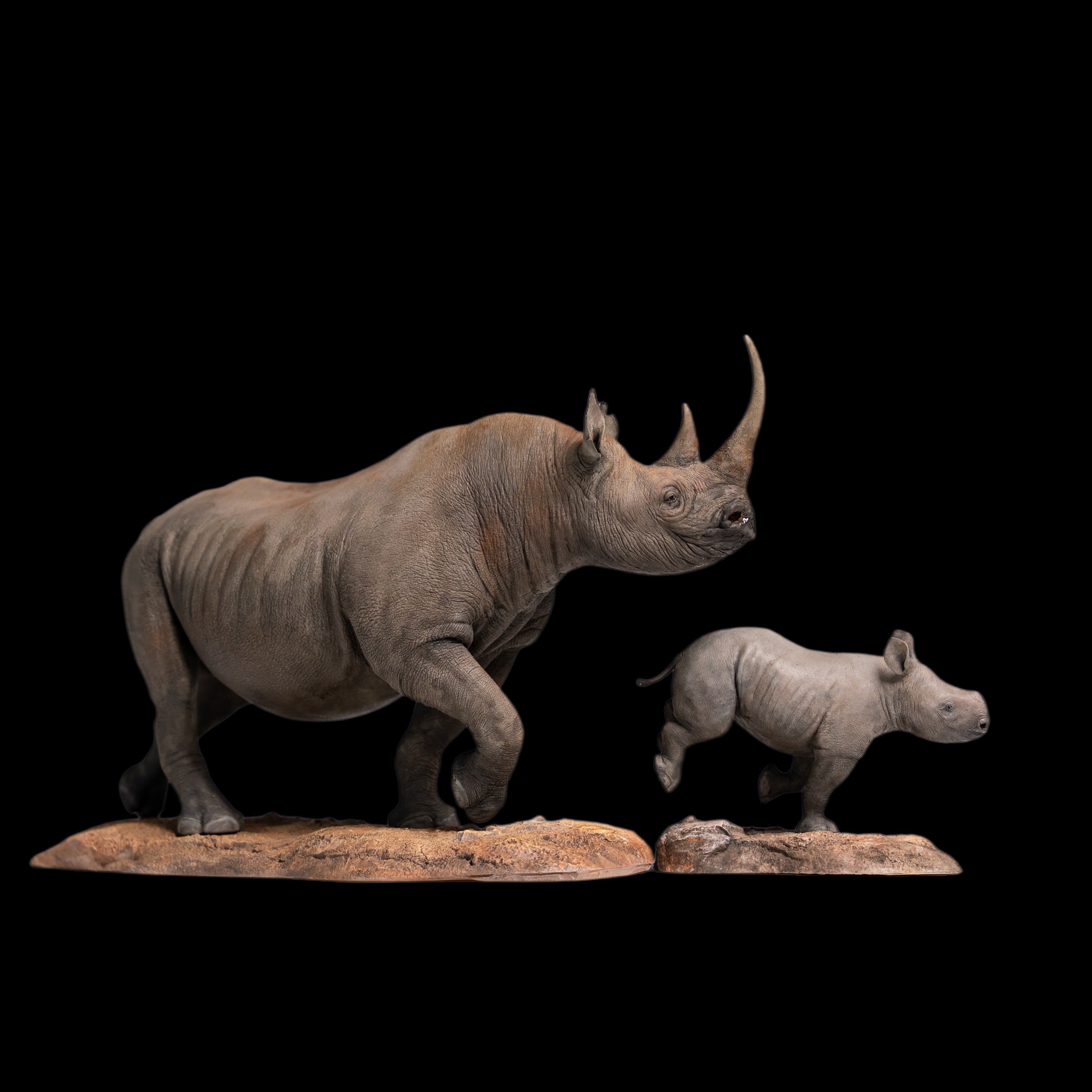 Black Rhinoceros (Diceros bicornis)  statue Model Kit 1:35 1:18 1:15 1:10 1:6 Scale