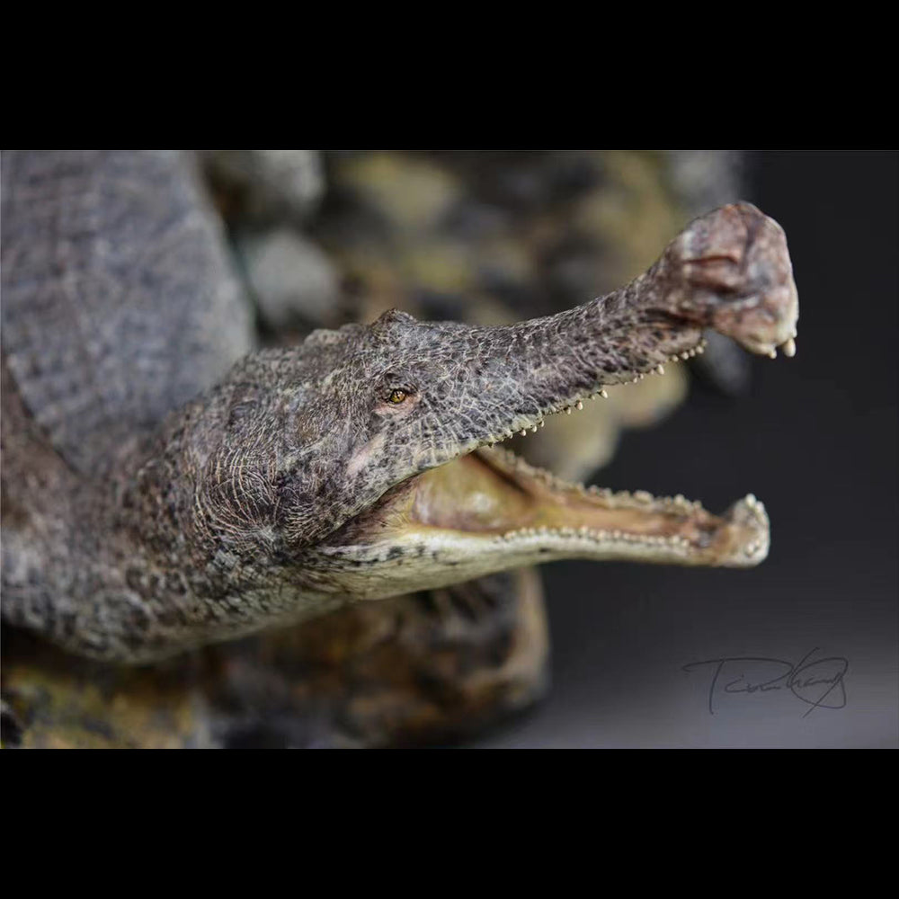 Sarcosuchus imperator 1/20 SCALE Wildfire studio