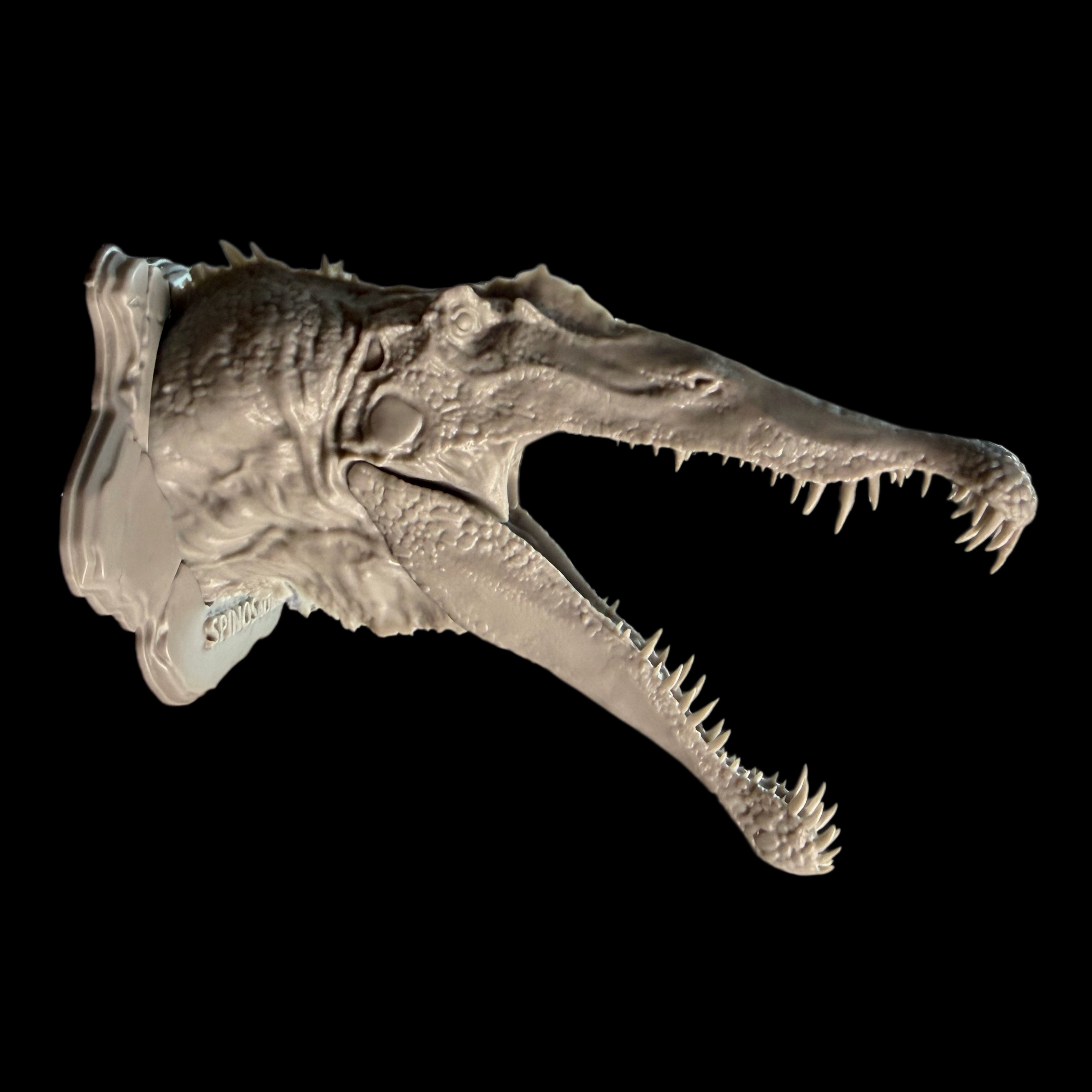 T-Rex Head Collection (Set of 9) - 1:35 Scale Resin Model Kit Magnets & Wall Mounts